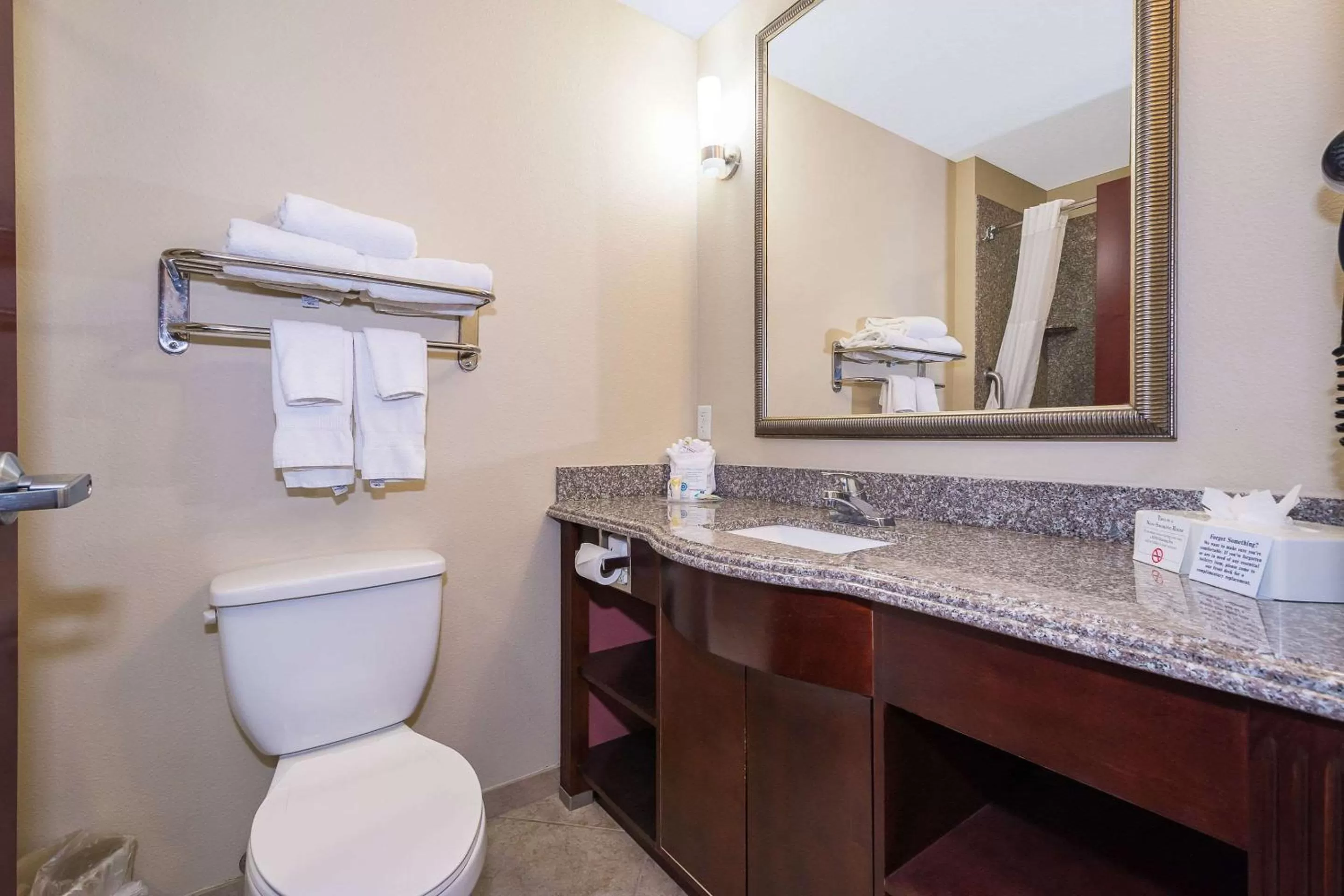 Bathroom in Comfort Inn & Suites Maingate South