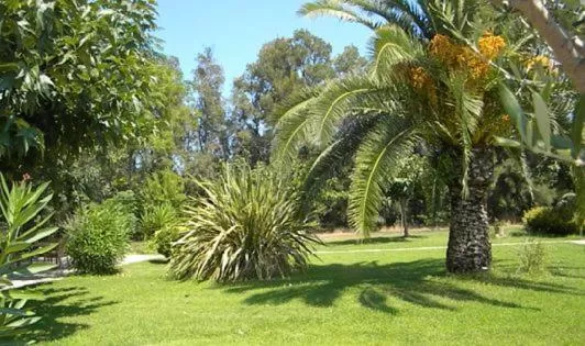 Garden in Auberge les Oliviers