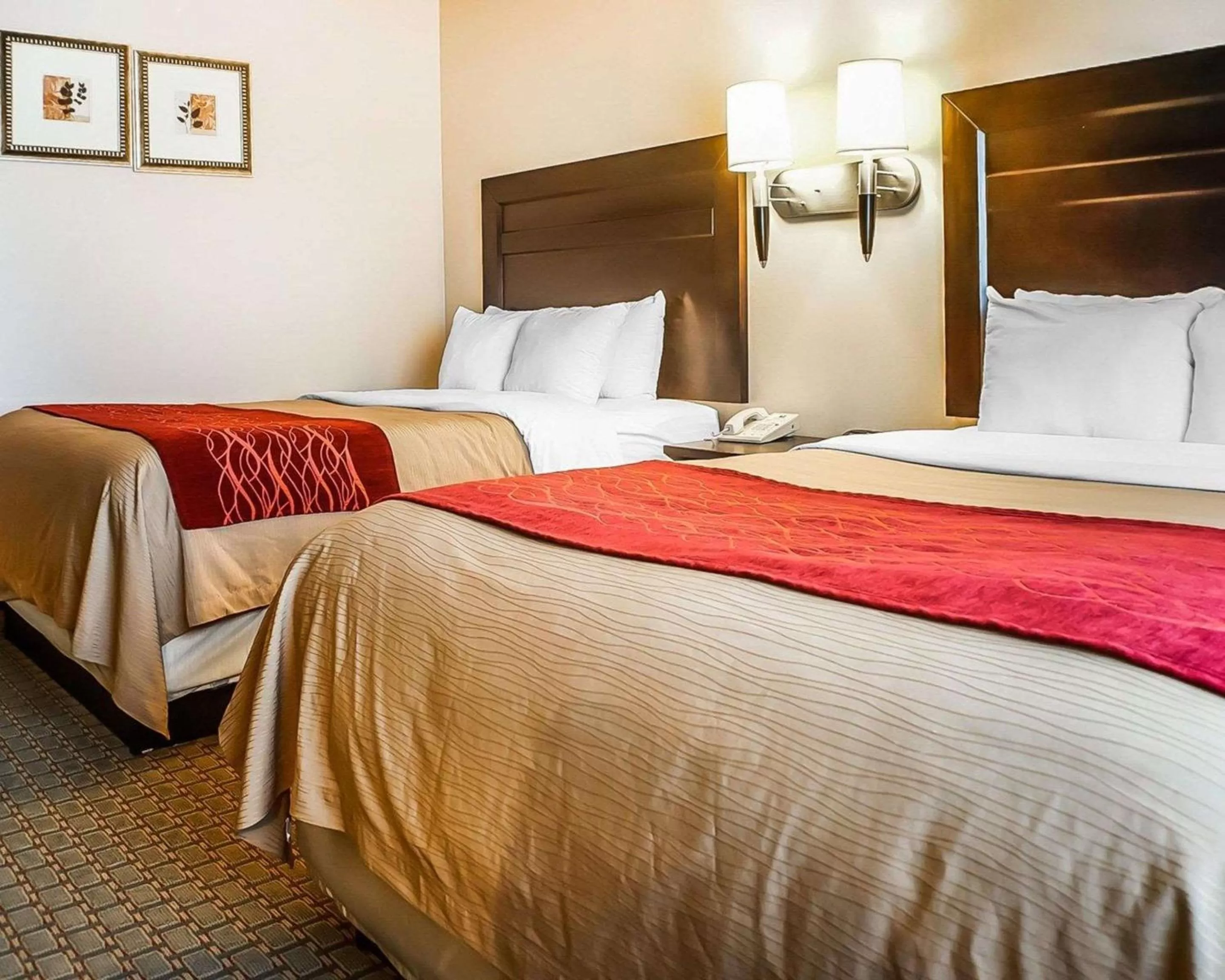 Photo of the whole room, Bed in Quality Inn & Suites Roswell North