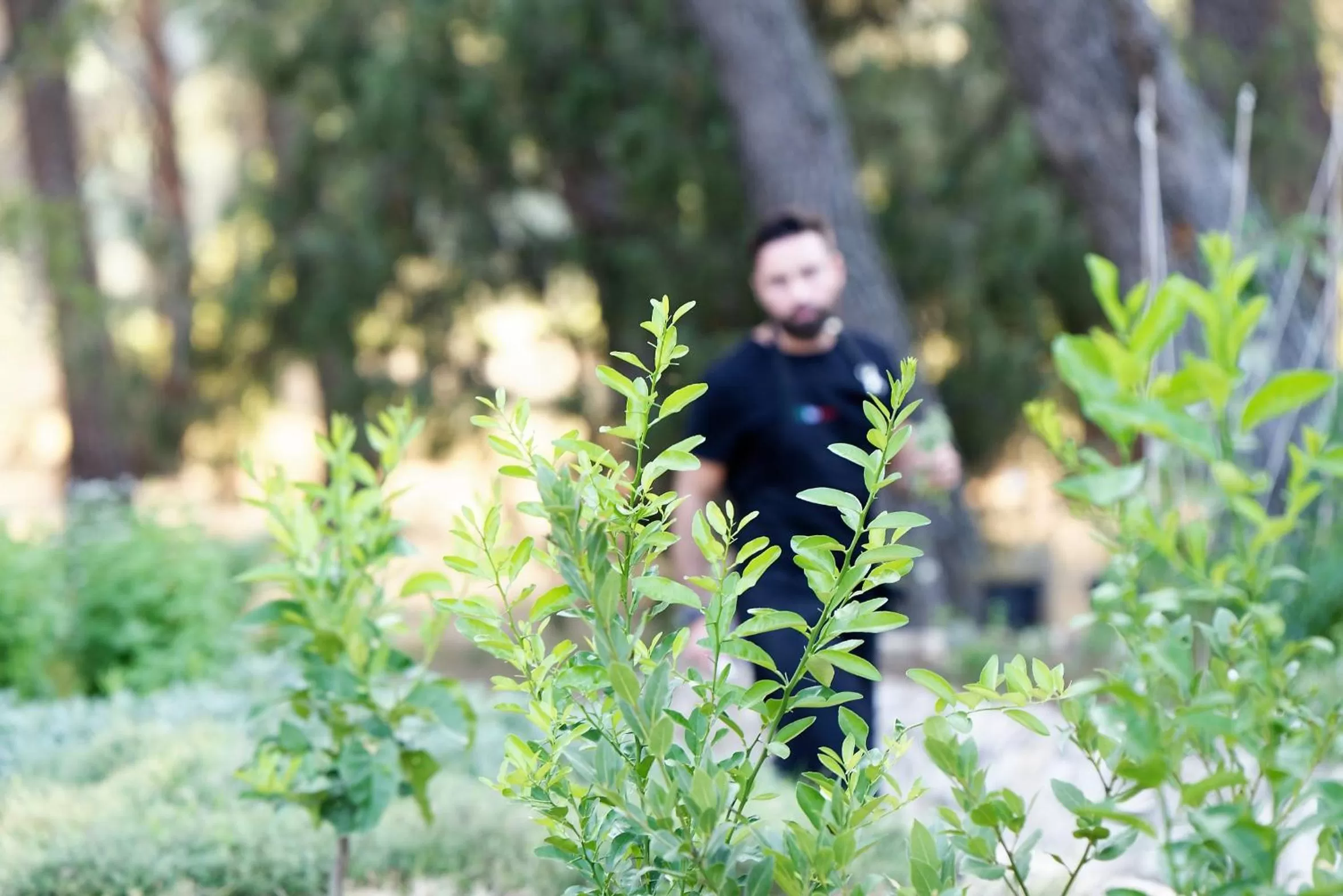 Staff in Domaine la Pierre Blanche
