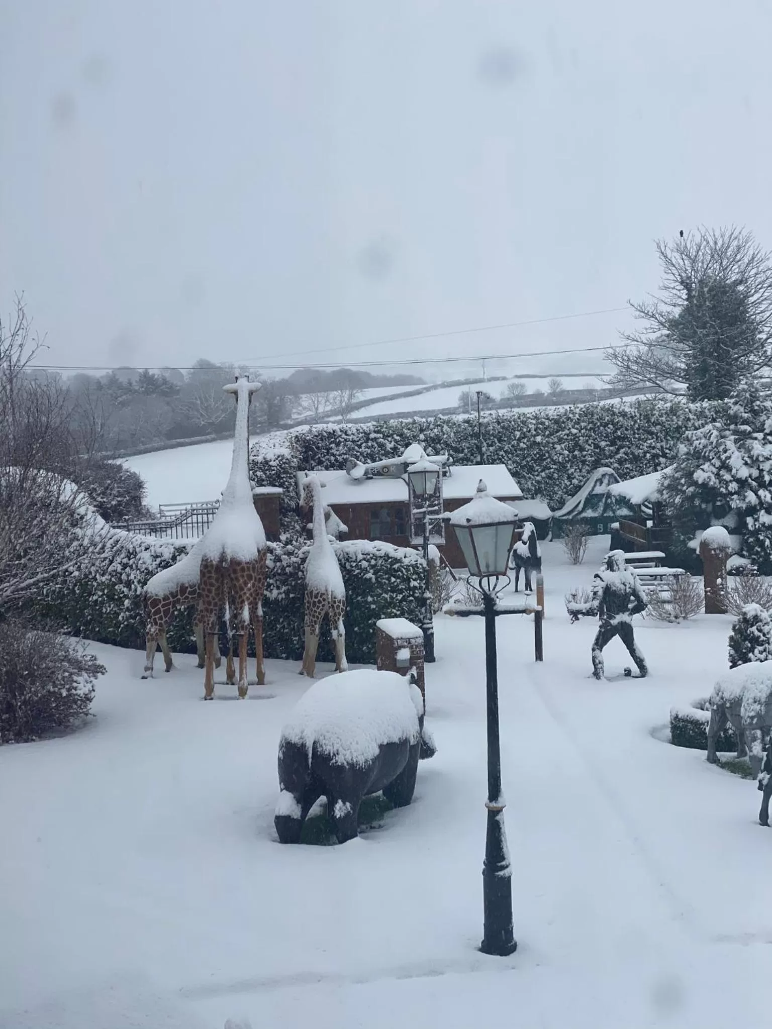 Garden in The Hilltop Haven