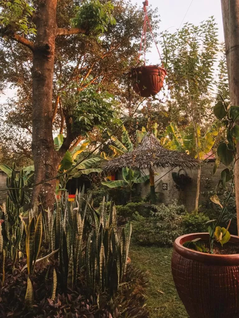 Garden in Charming Eco-Homestay near Kilimanjaro International Airport