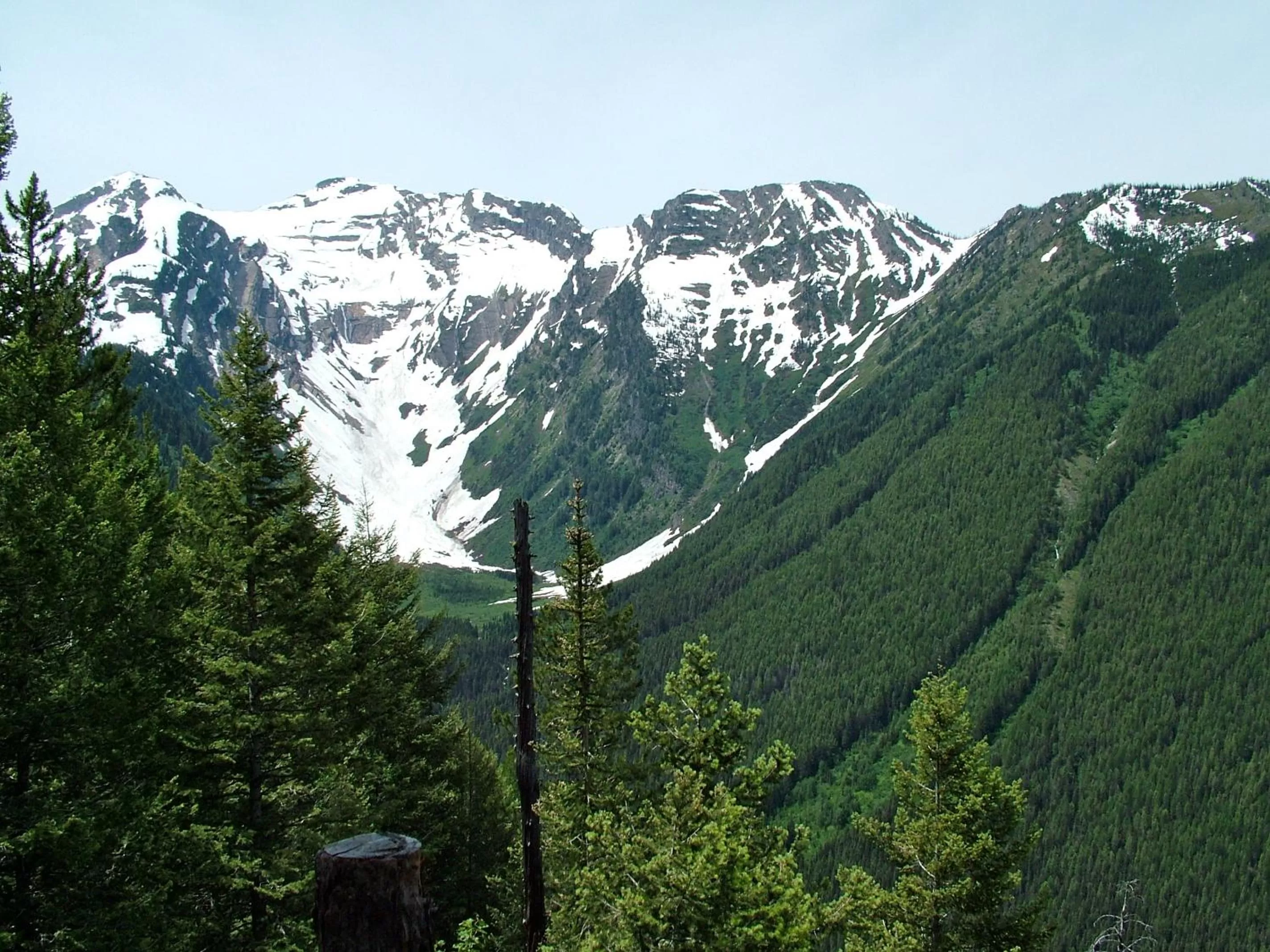 Area and facilities in Glacier Haven Inn