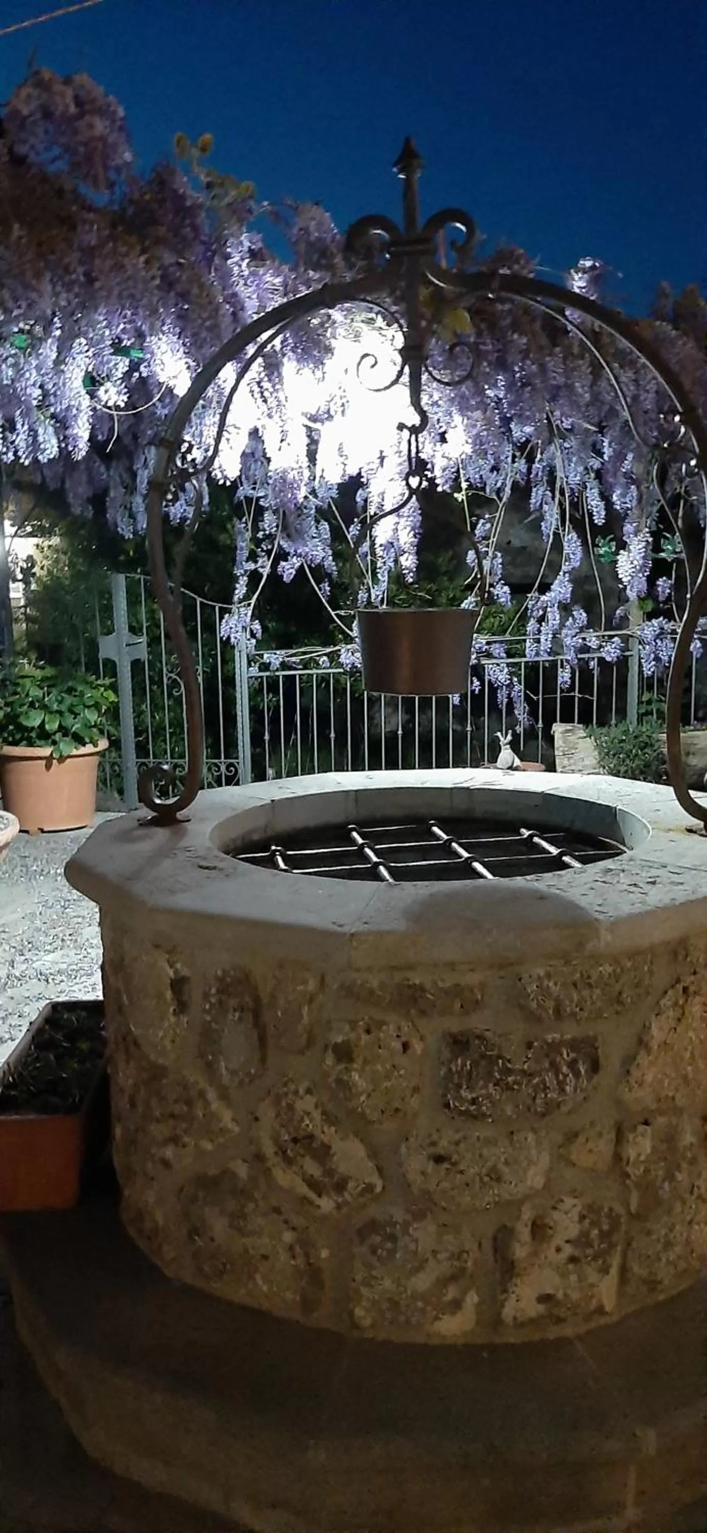 Garden in Al Chiaro di Luna