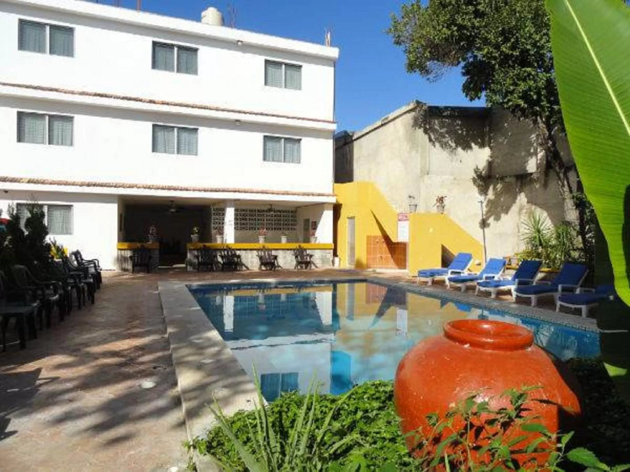 Swimming pool in Hotel Las Dalias Inn