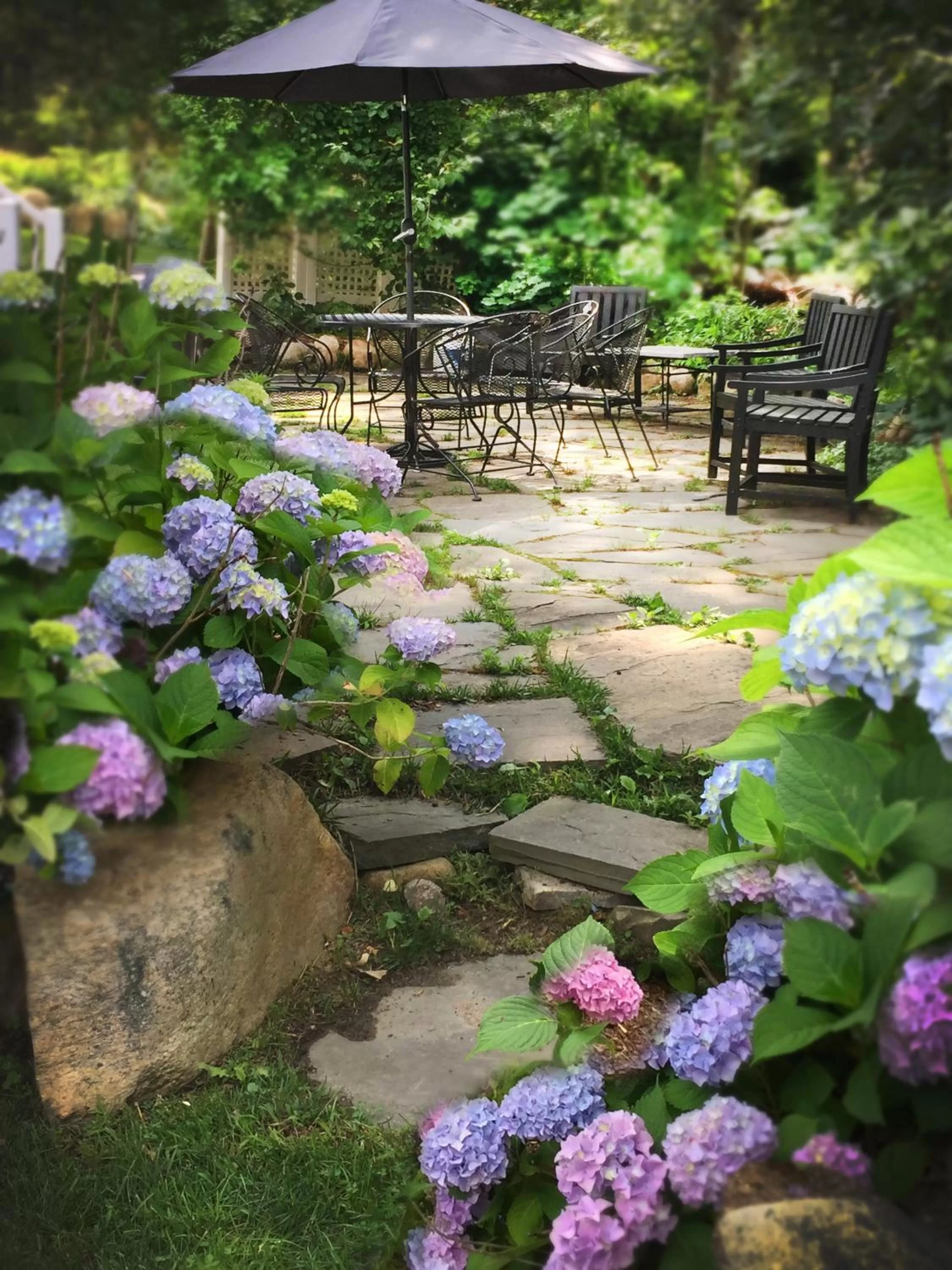 Patio in Frederick William House