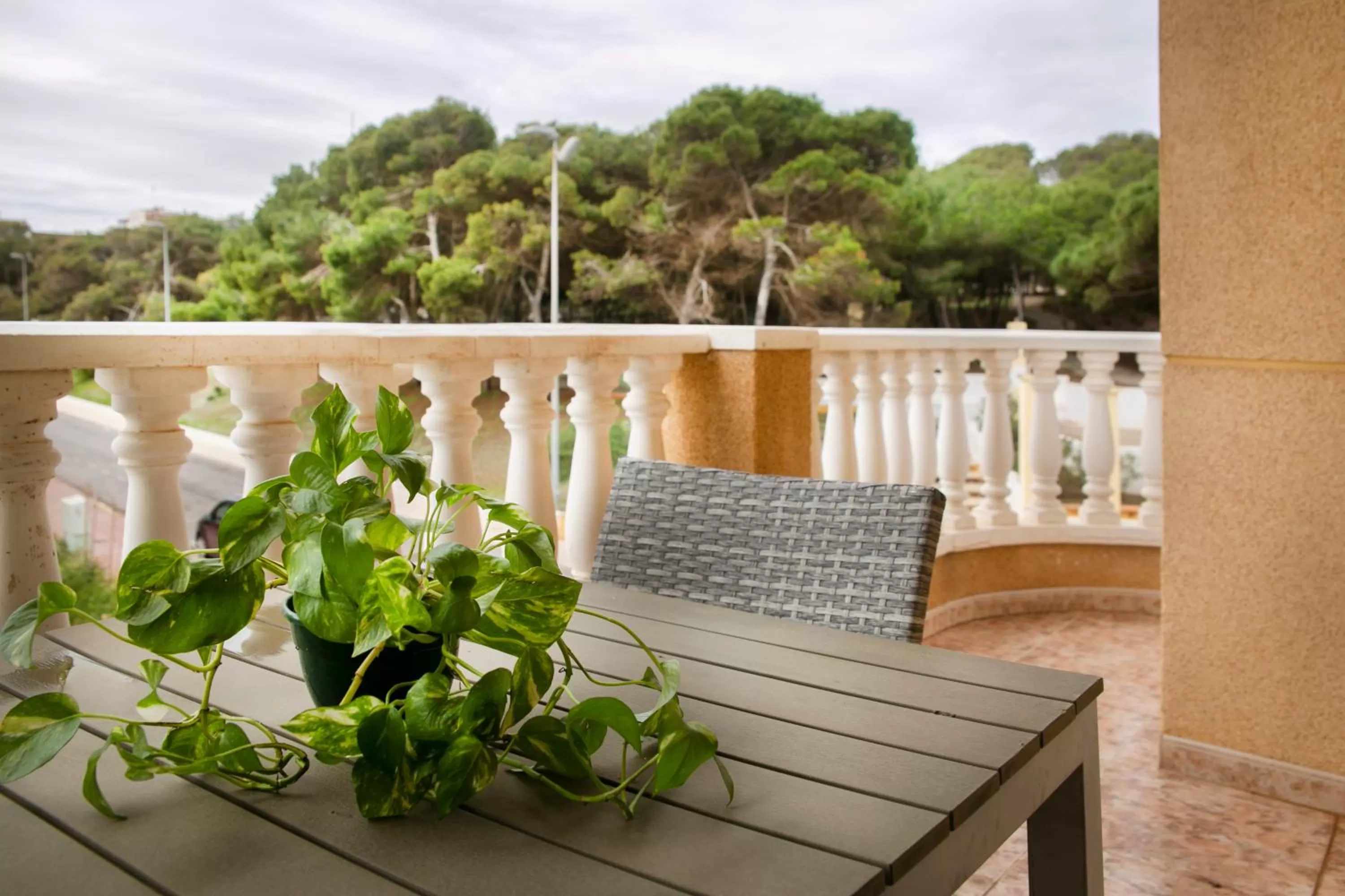 Balcony/Terrace in Hotel ParqueMar