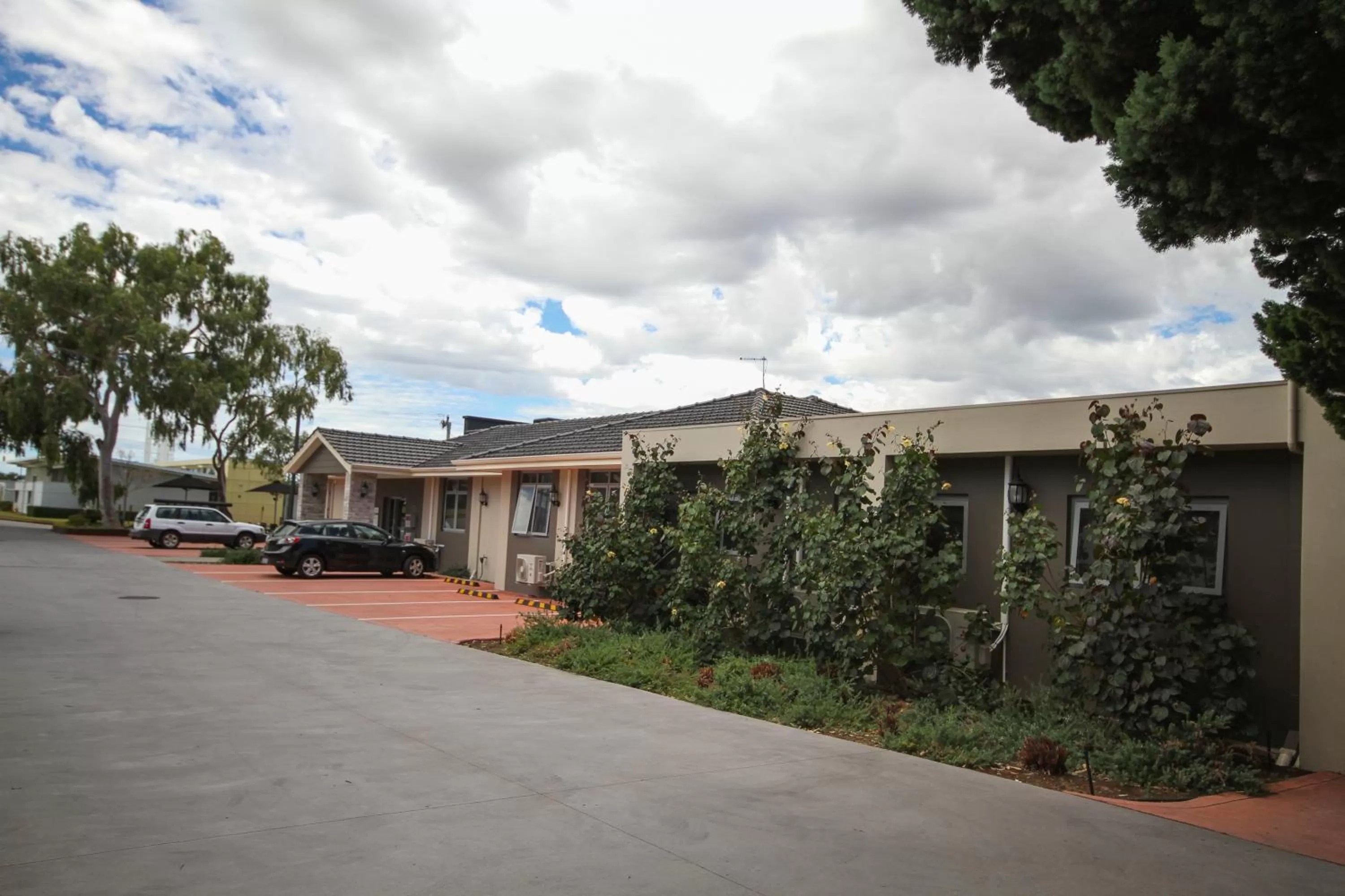 Garden in Gallery Hotel