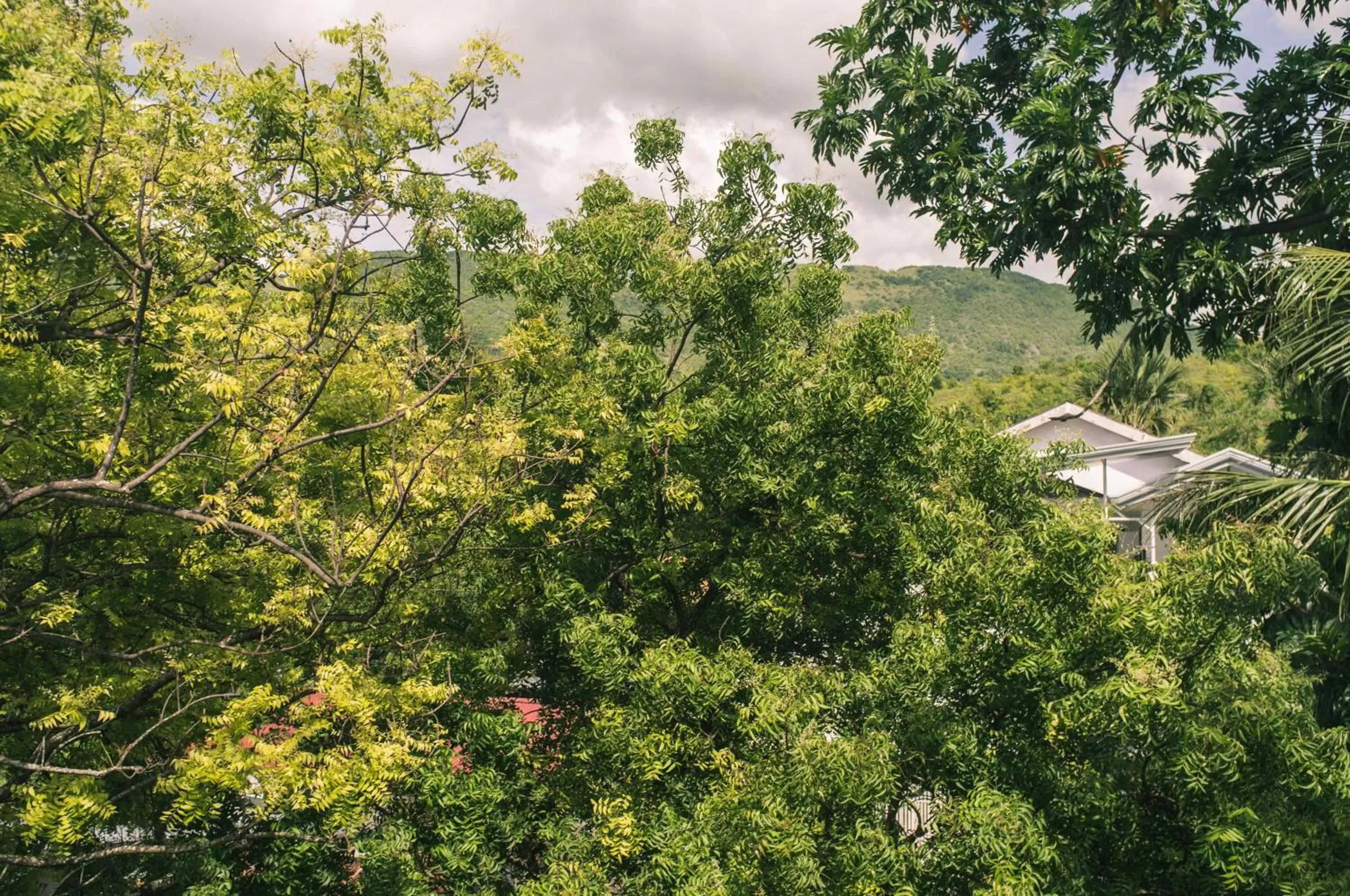 View (from property/room) in Pobla Hotel
