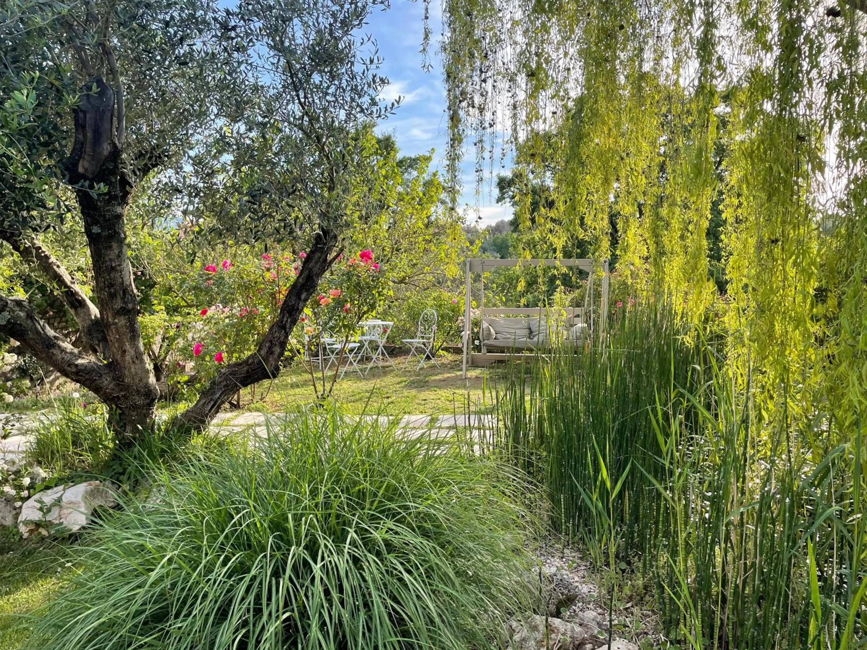 Garden in Home Sweet Home