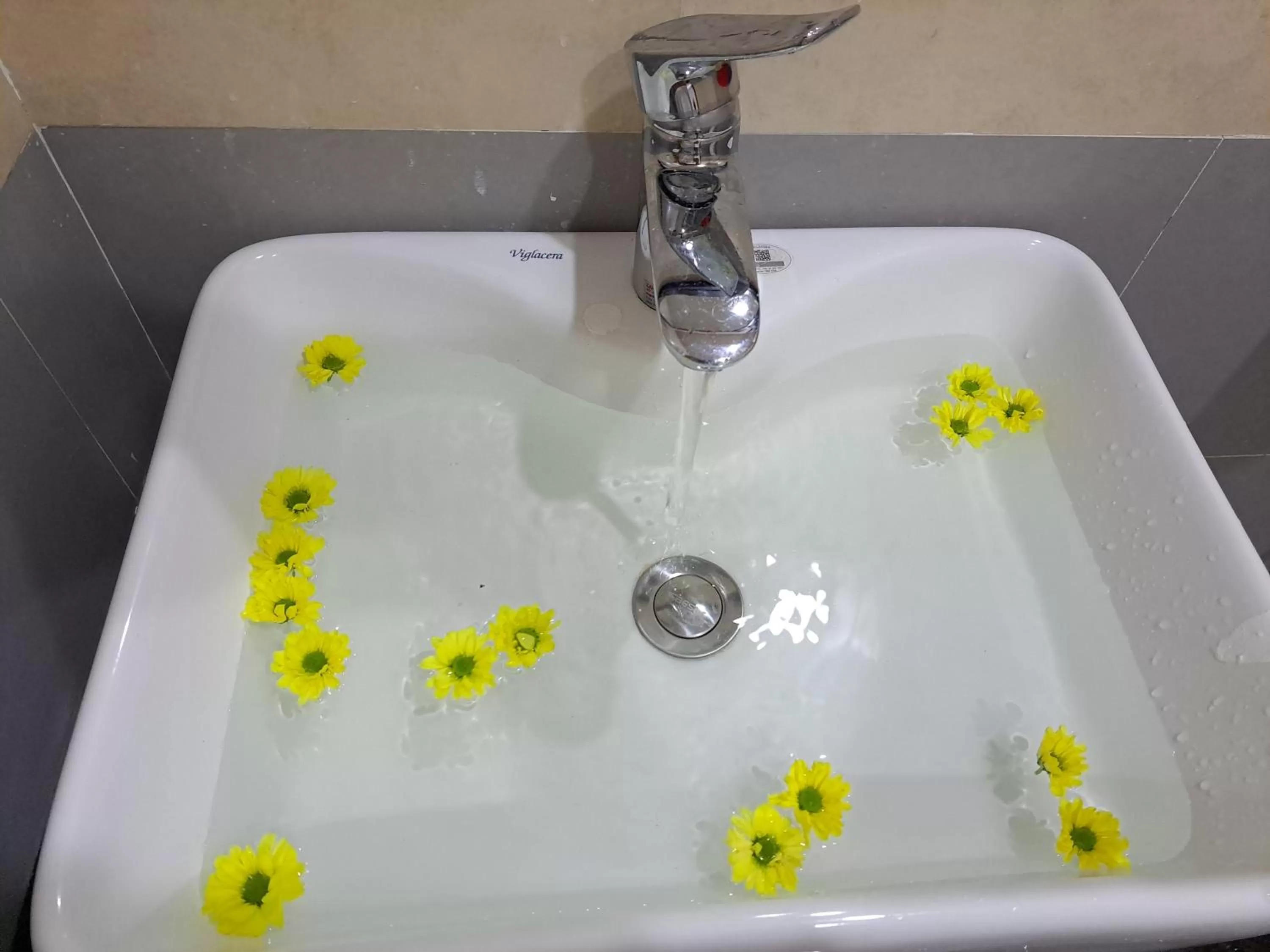 bidet in GREEN TOWN hotel HỘI AN