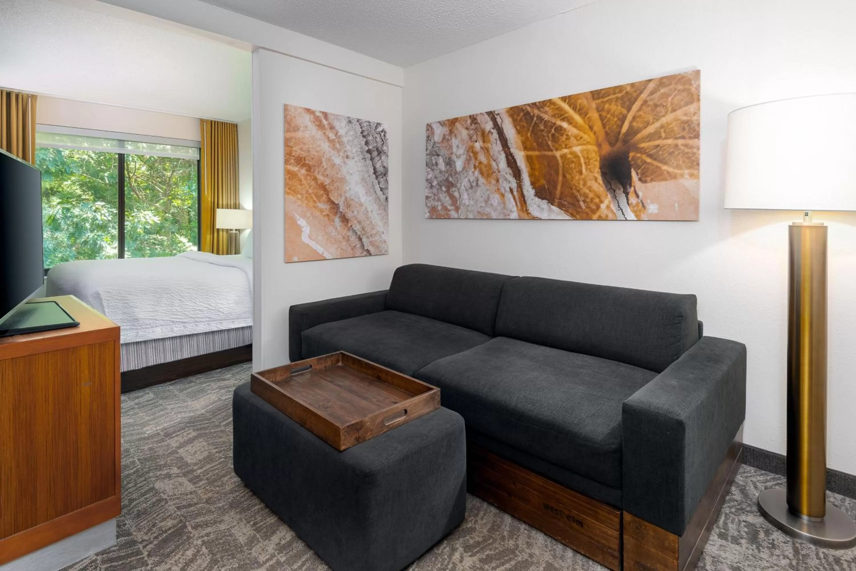 Living room in SpringHill Suites Asheville