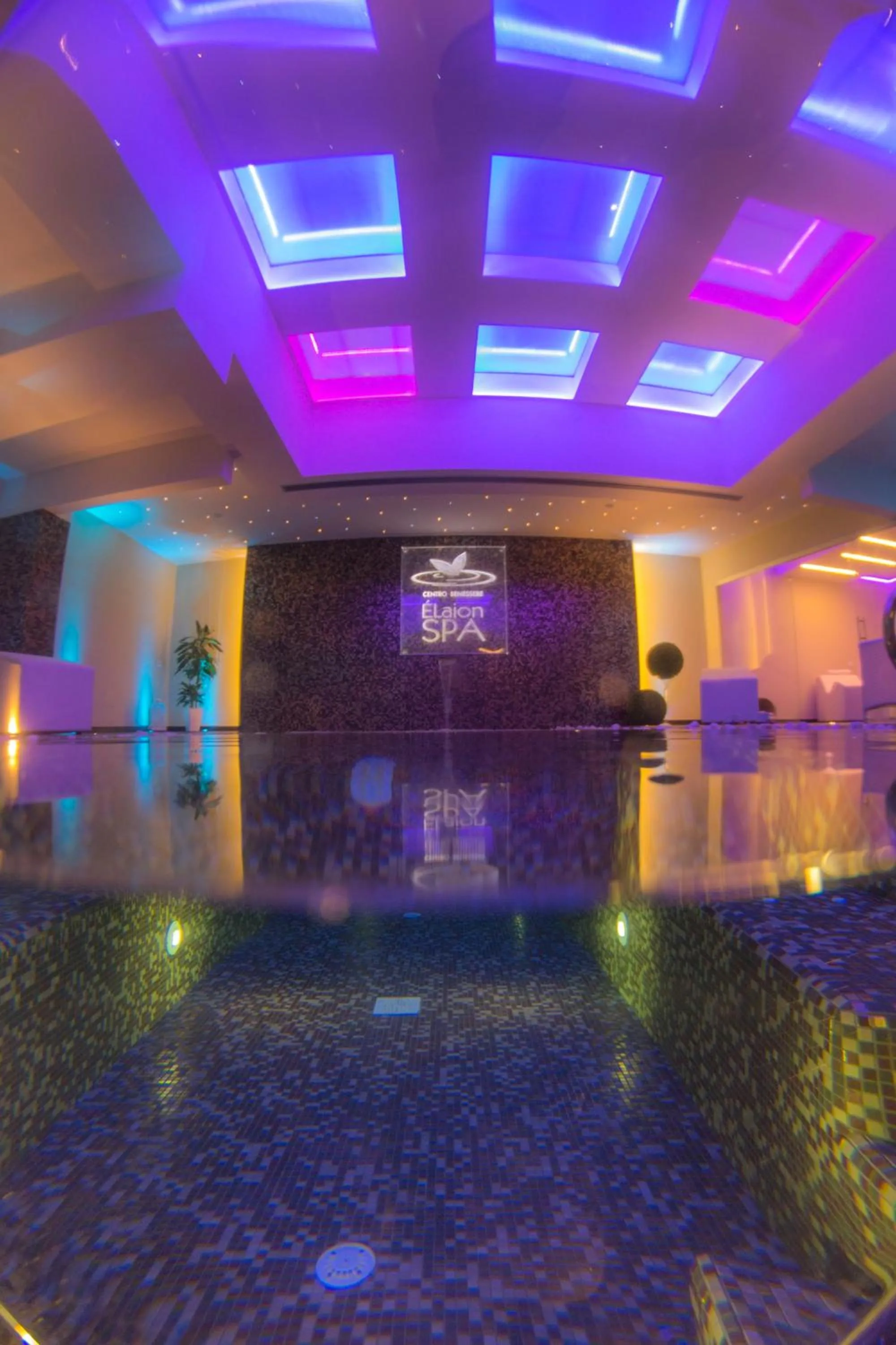 Swimming pool in Hotel Degli Ulivi