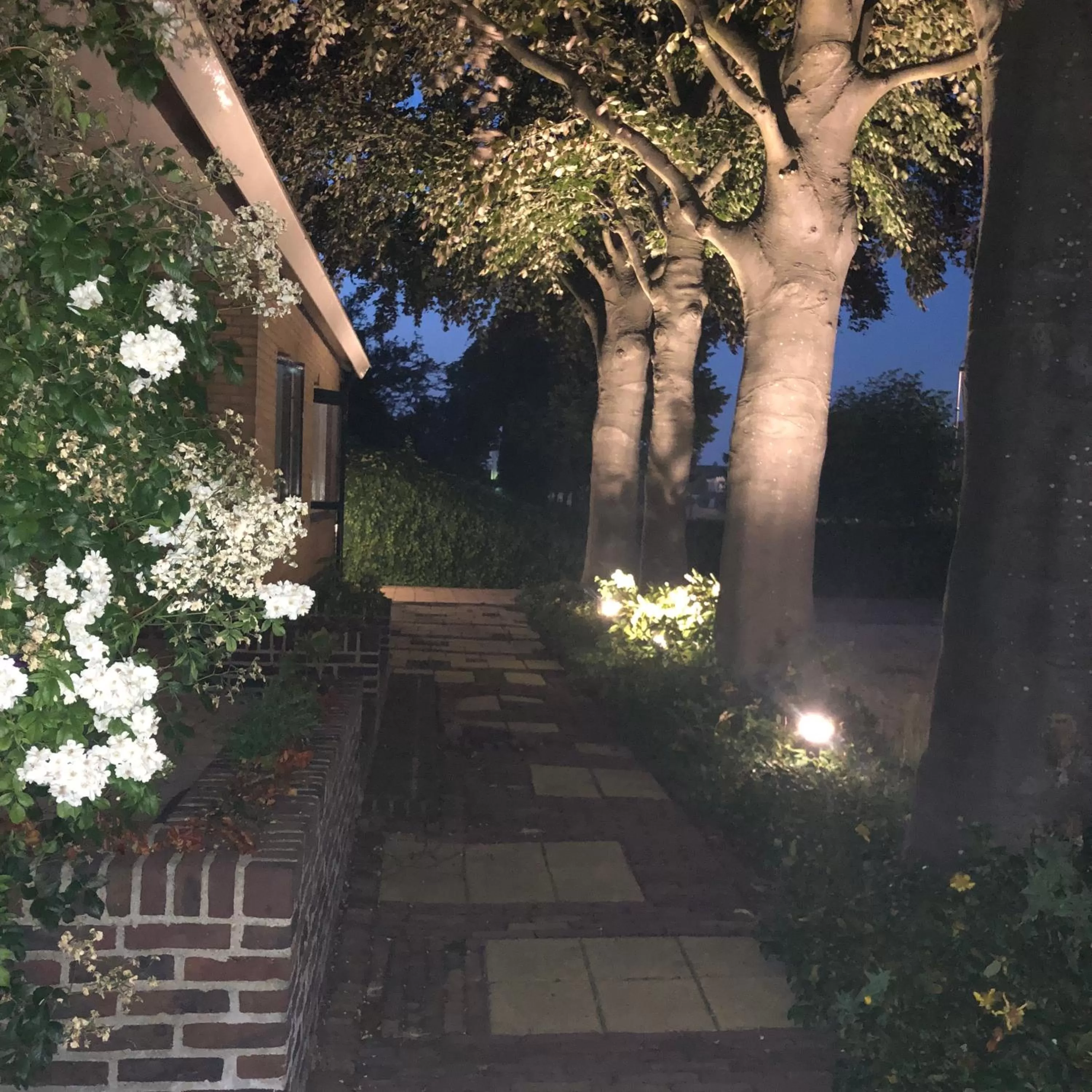 Garden in B&B Bleiswijk