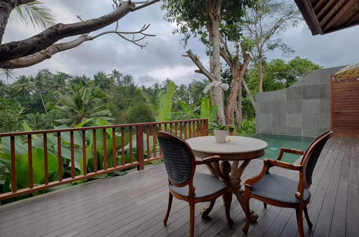 View (from property/room) in Natya Resort Ubud