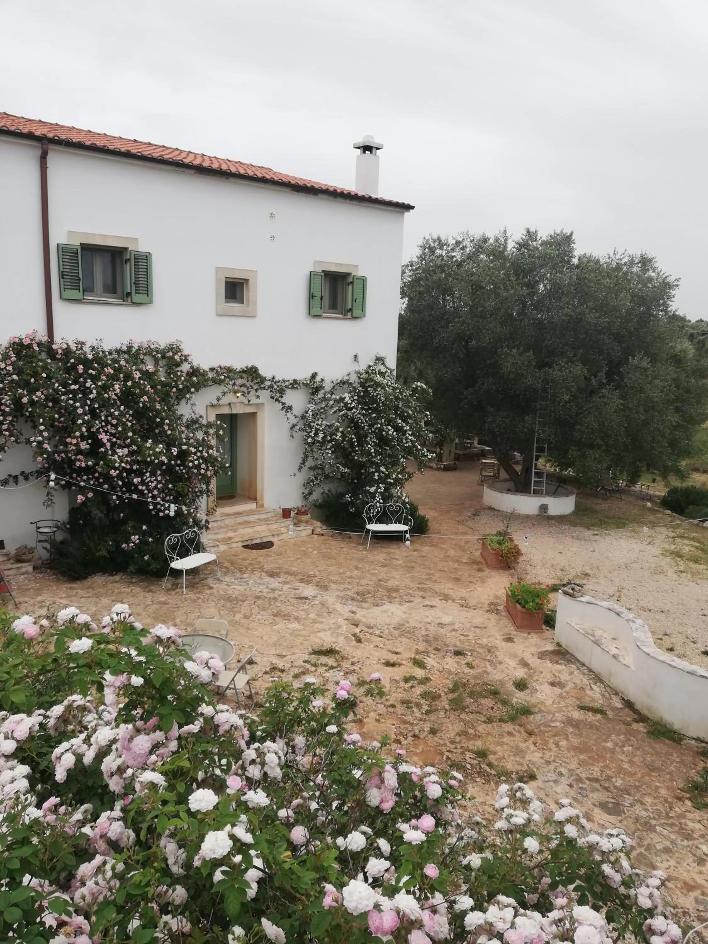 Property Building in B&B Giovannarolla Green House