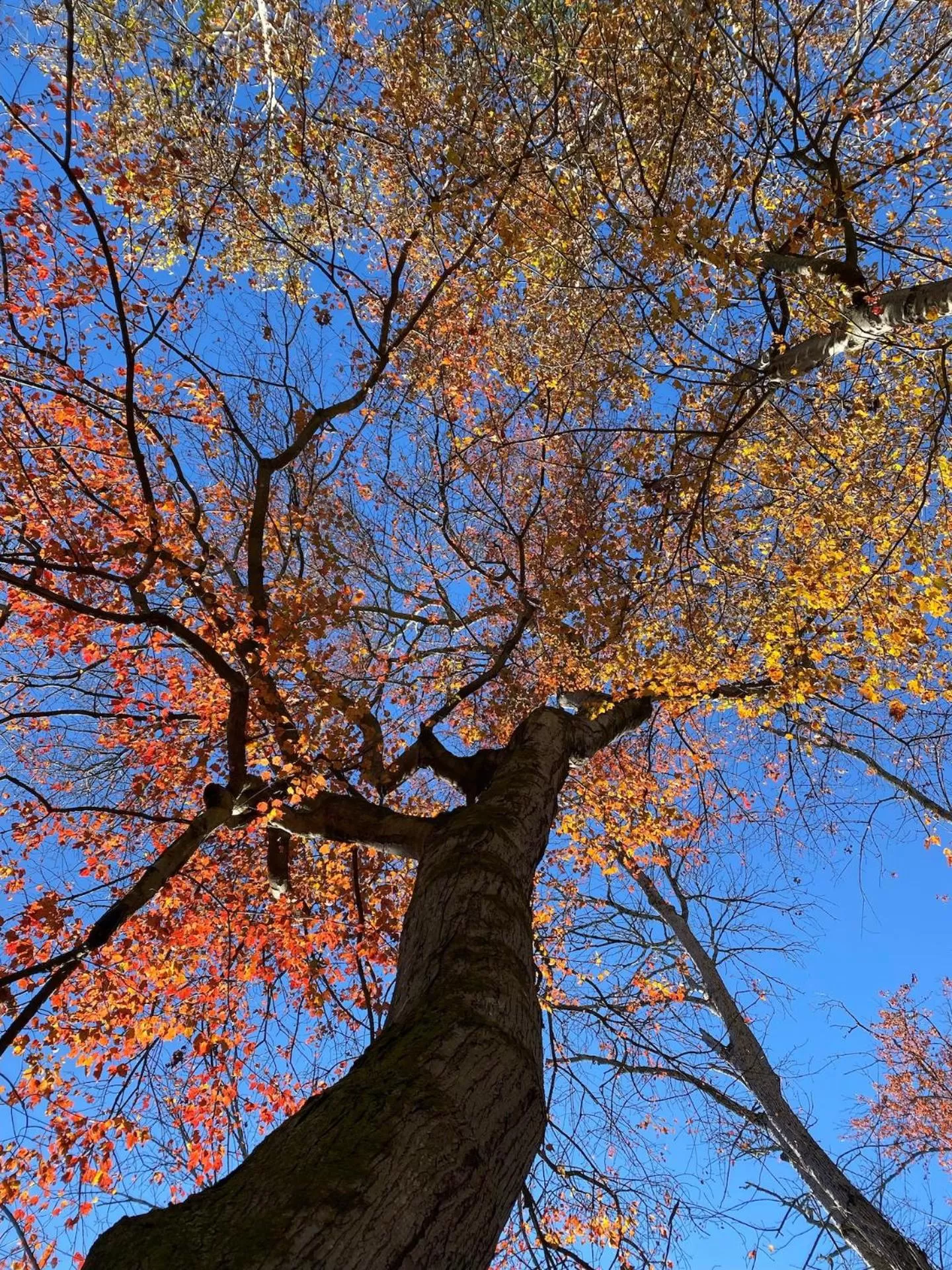 Natural landscape in SKYLARANNA Resort & SPA