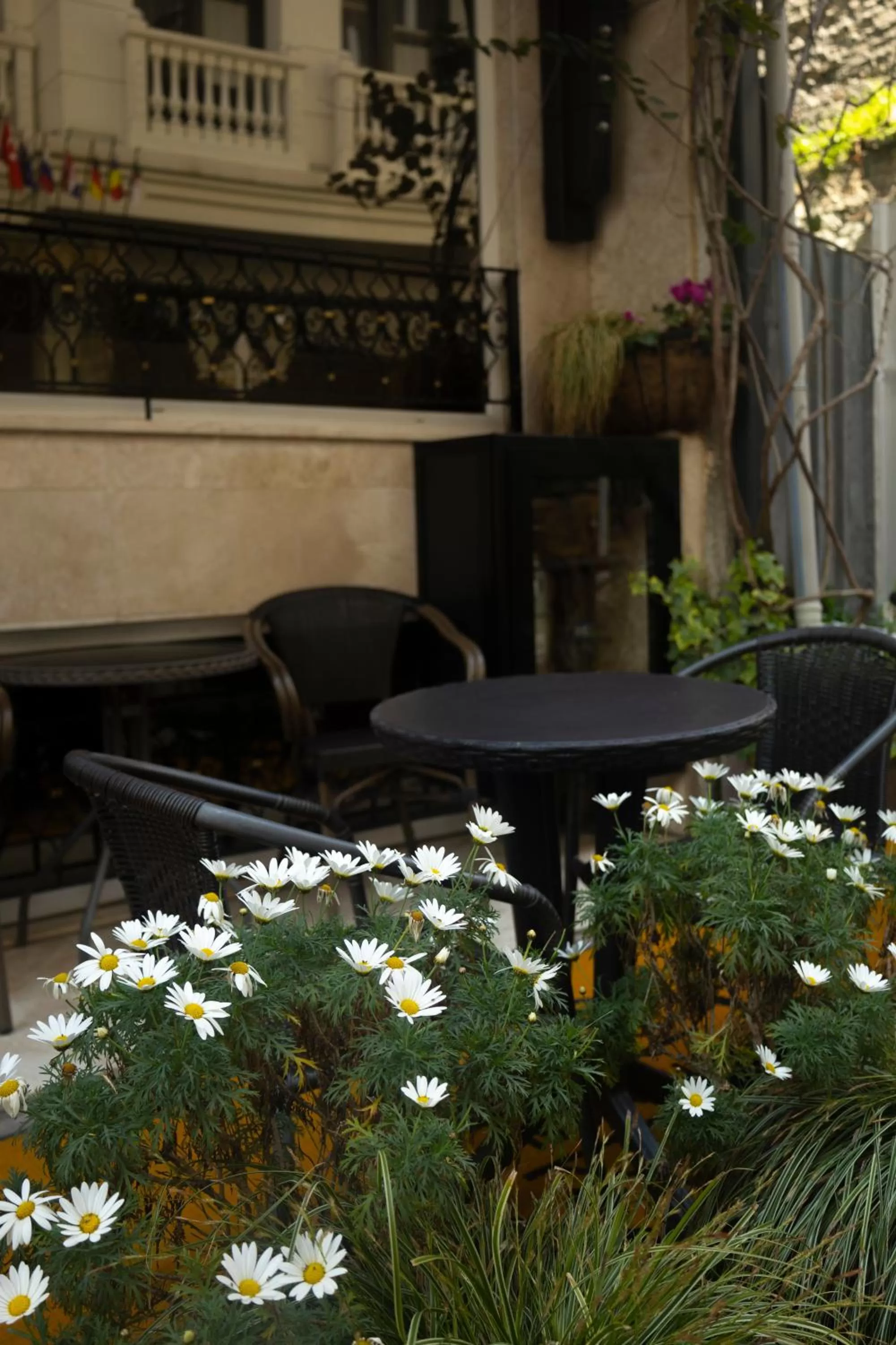 Garden in Pearl Hotel İstanbul