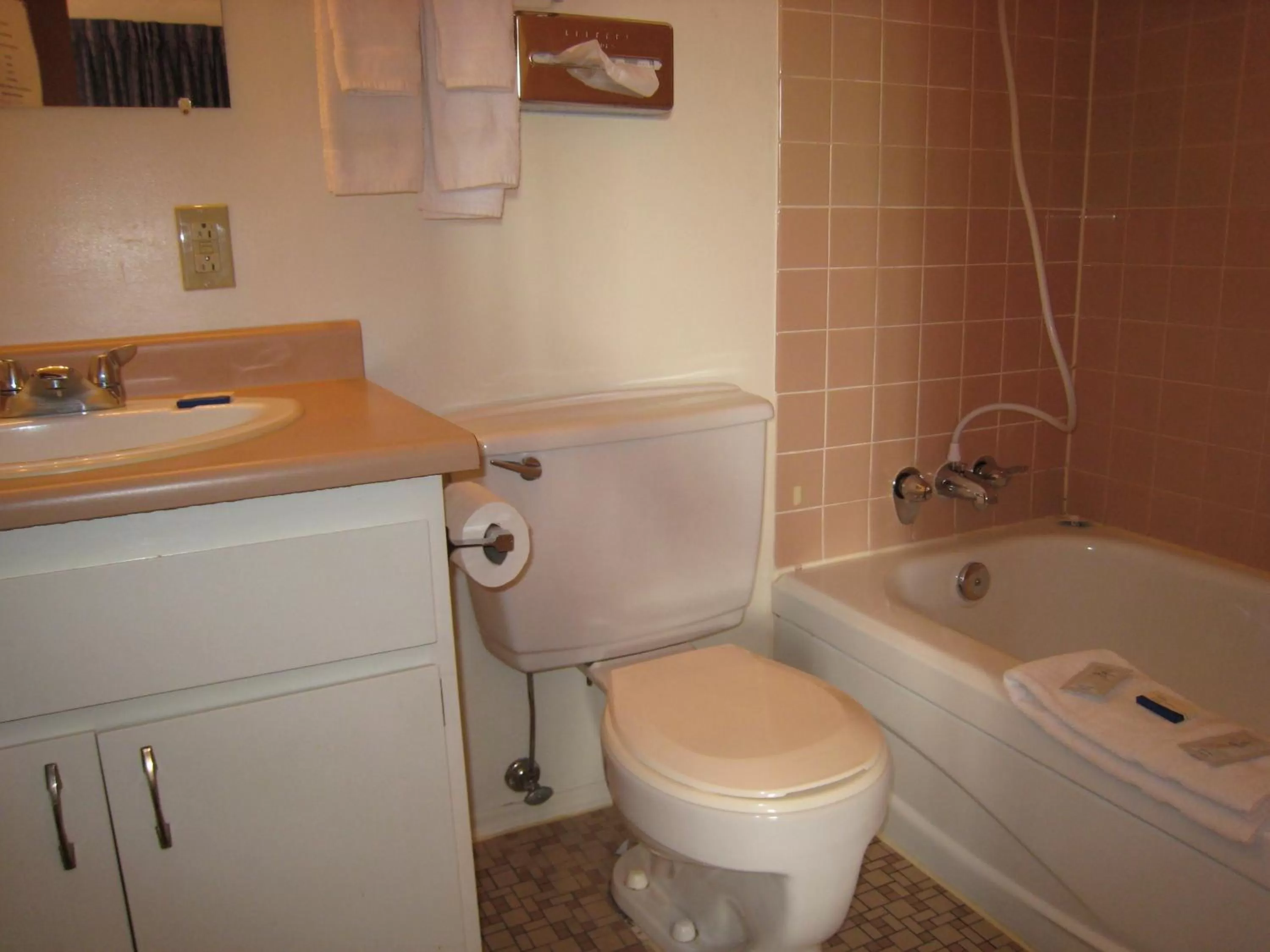 Bathroom in Falcon Nest Motel