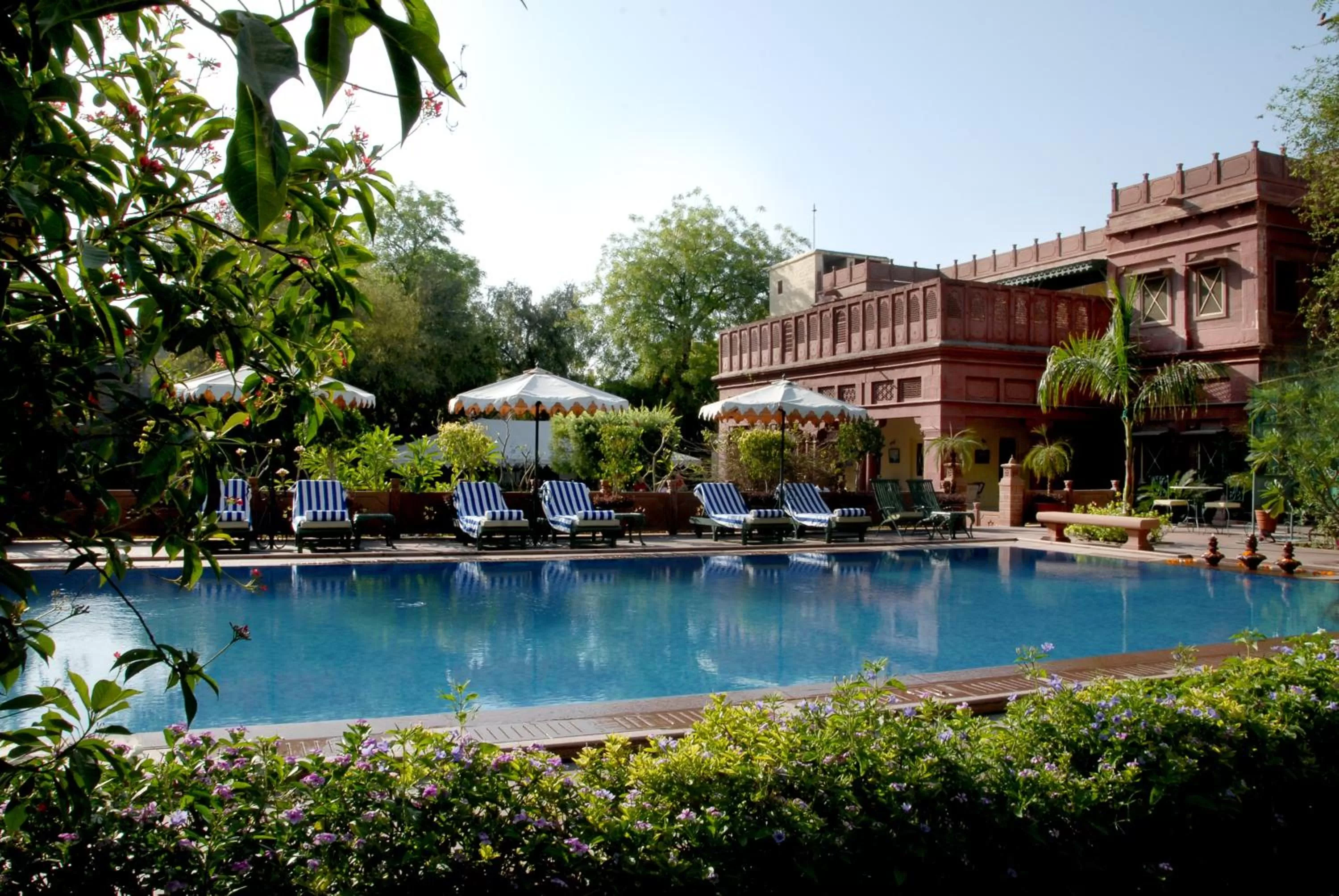 Swimming pool in Ratan Vilas, Jodhpur