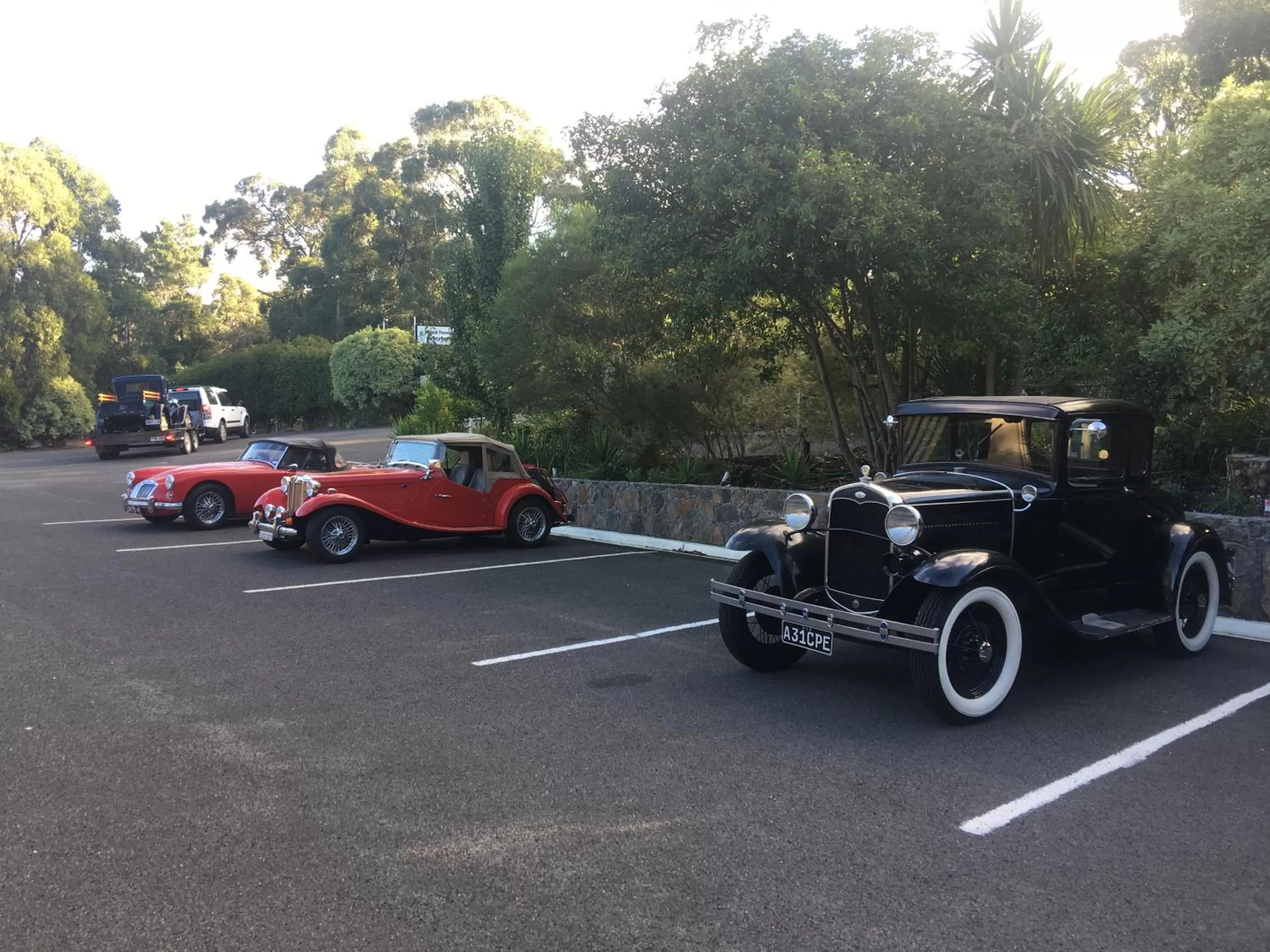 Bird's eye view in Black Forest Motel