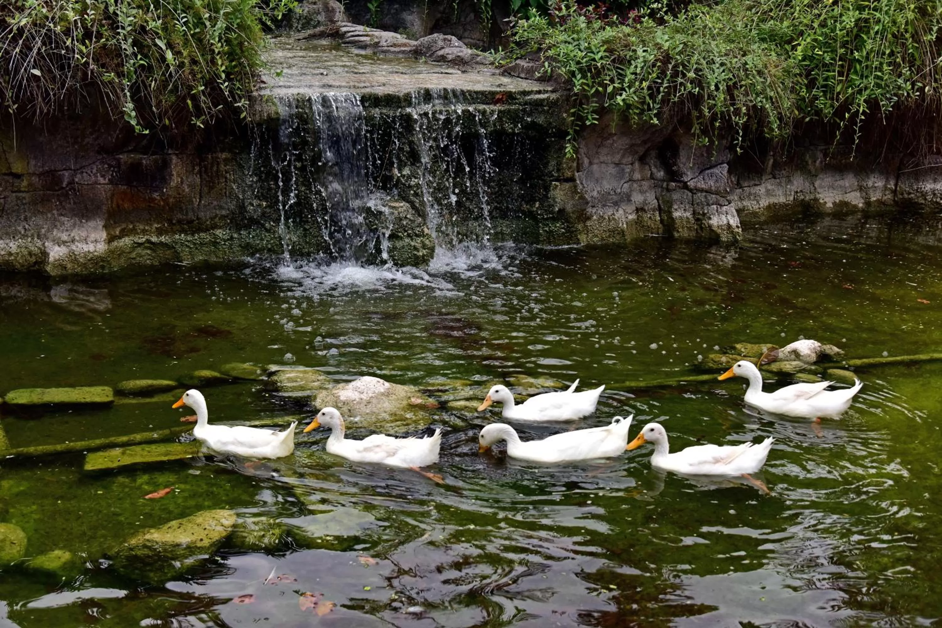 Area and facilities in Prama Sanur Beach Bali