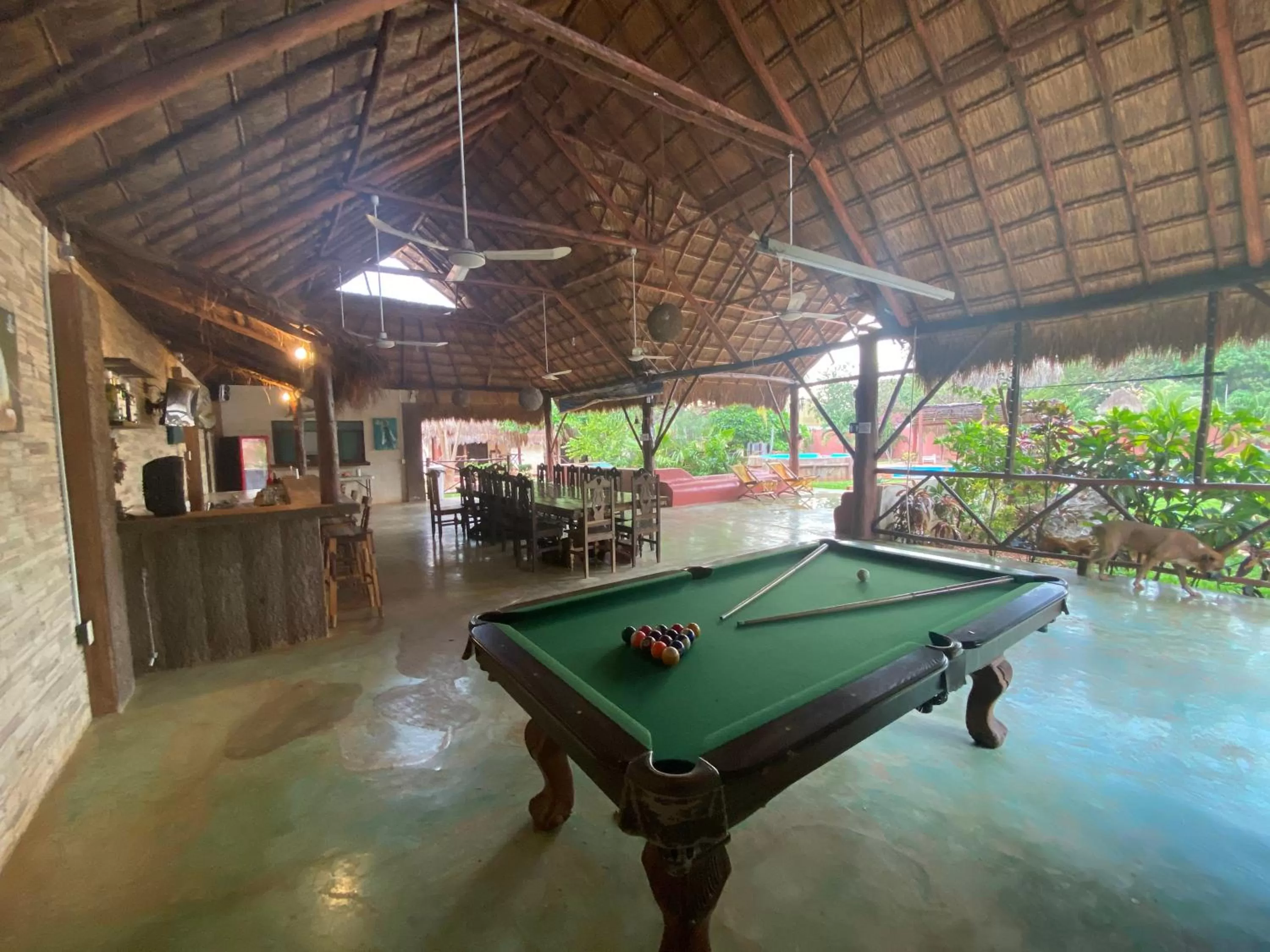 Billiard in Mangrove King Fishing Lodge