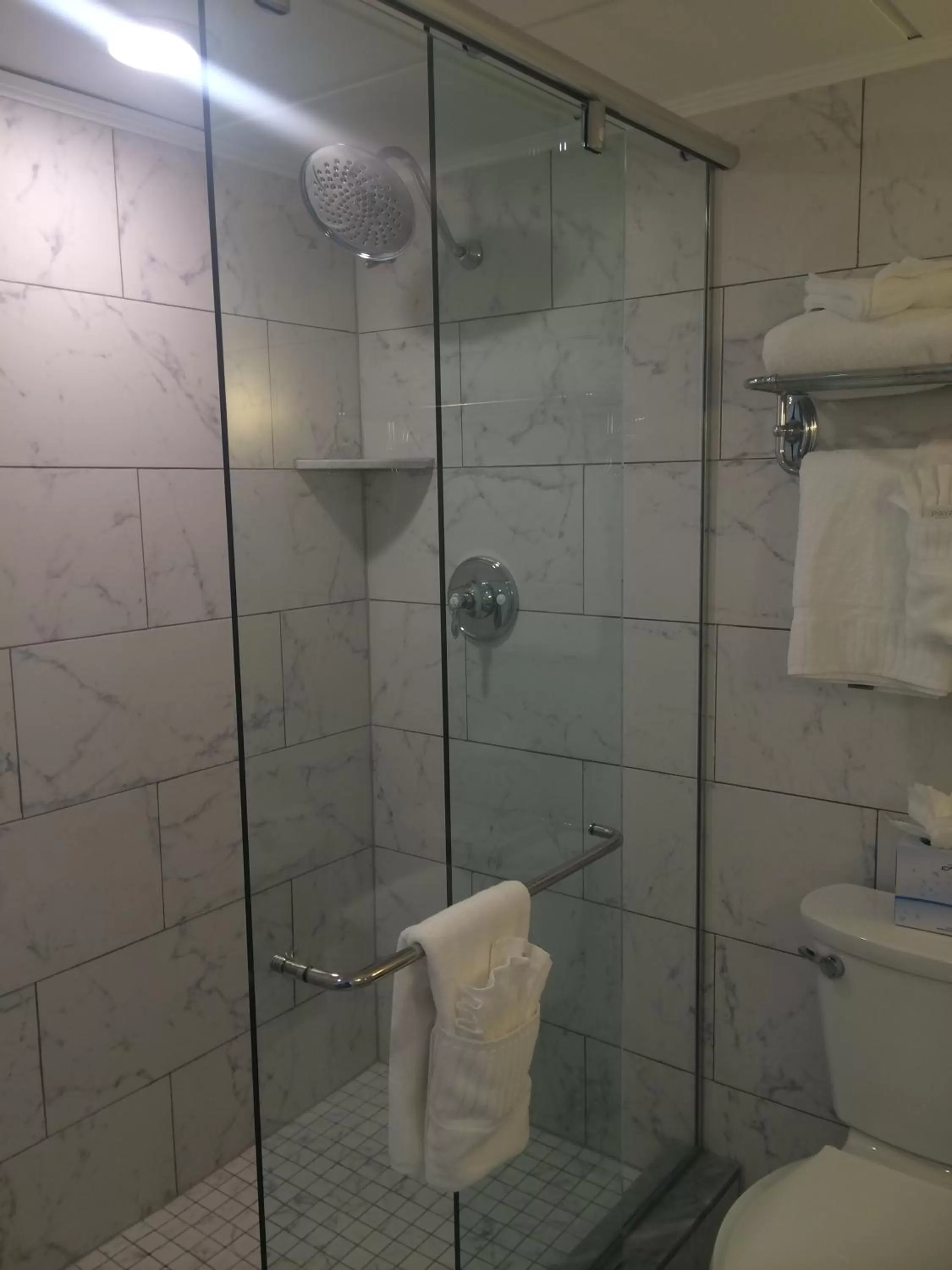 Shower in ICONA Avalon