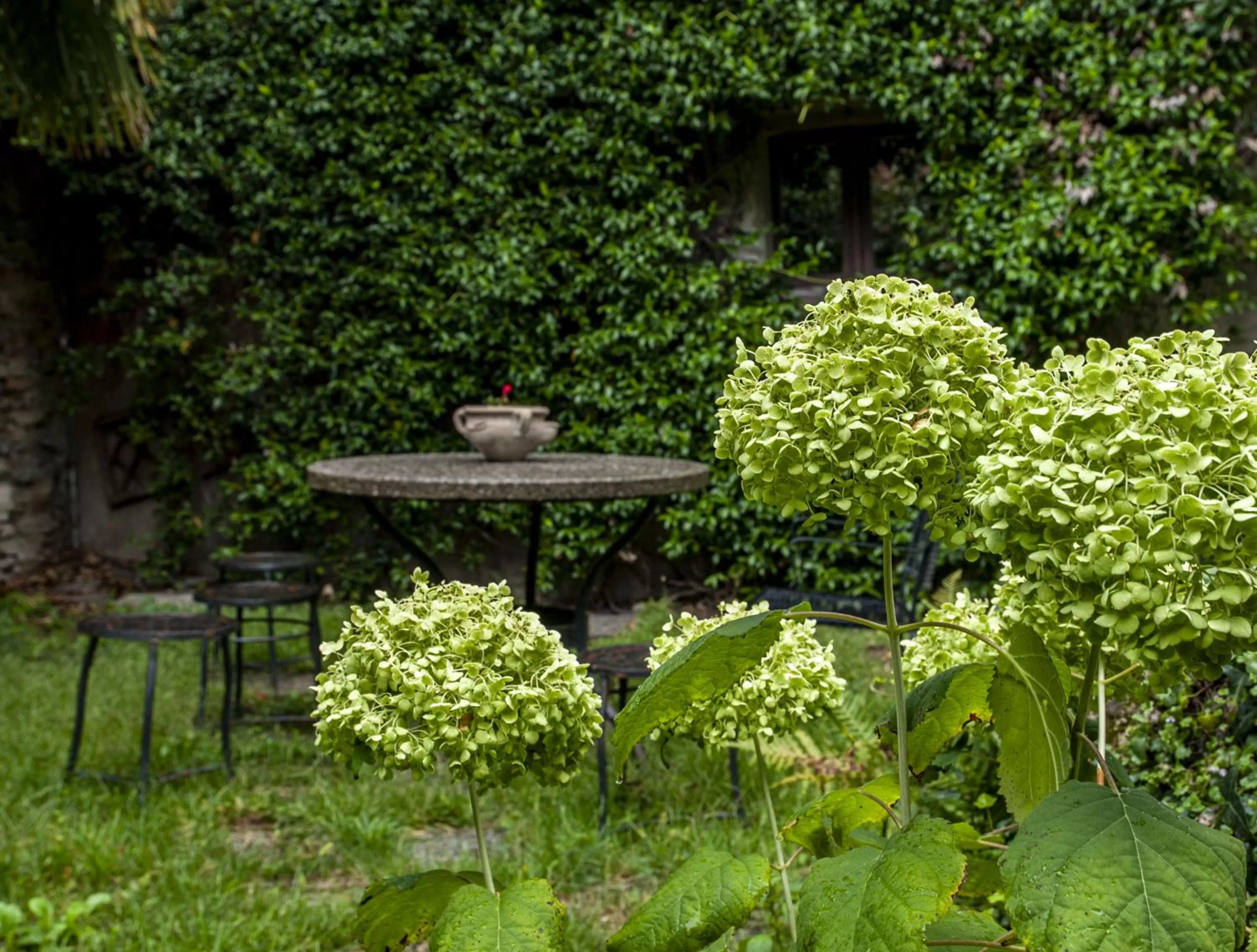 Hotel Locanda Dei Mai Intees