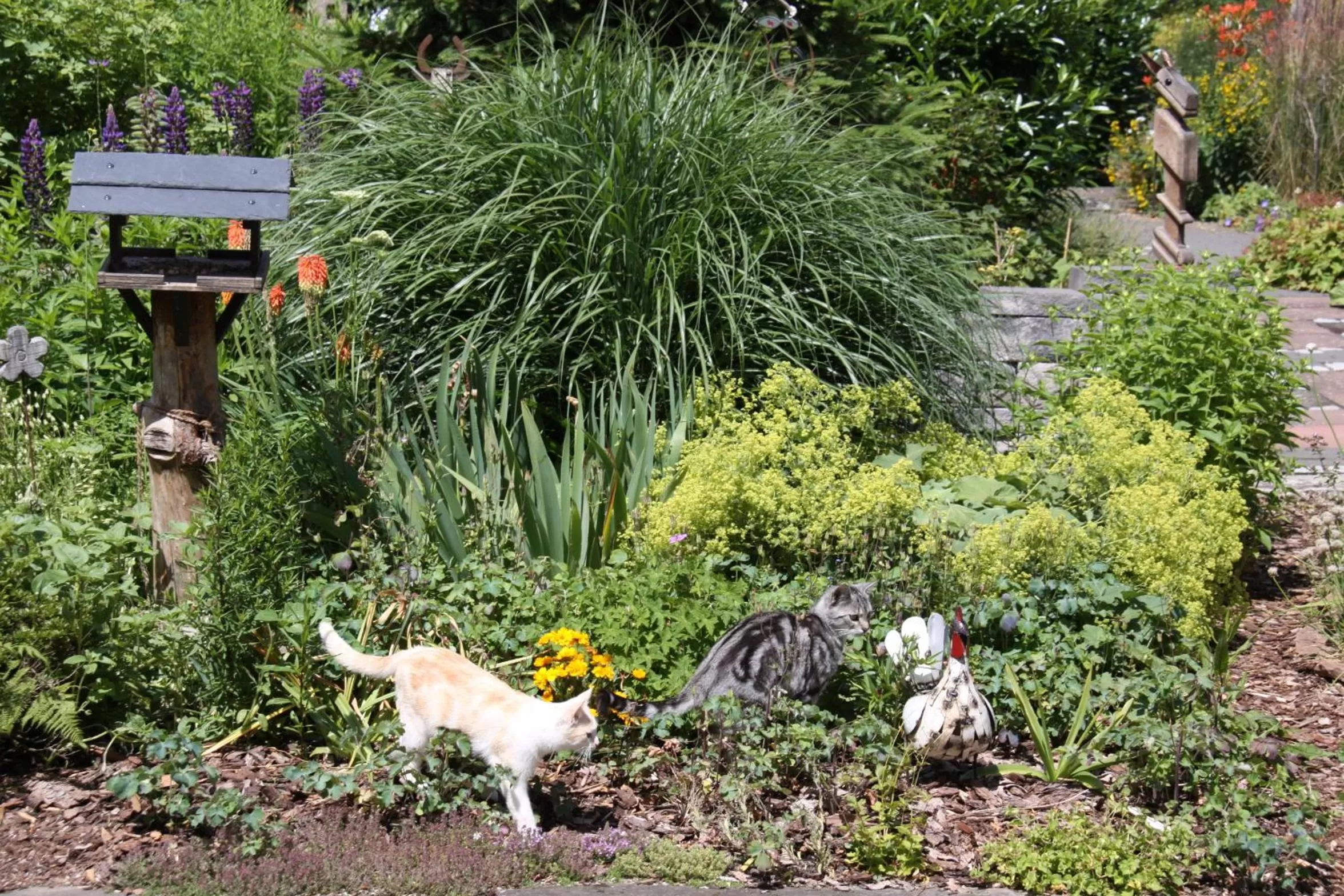 Pets in mein kleinHOTEL