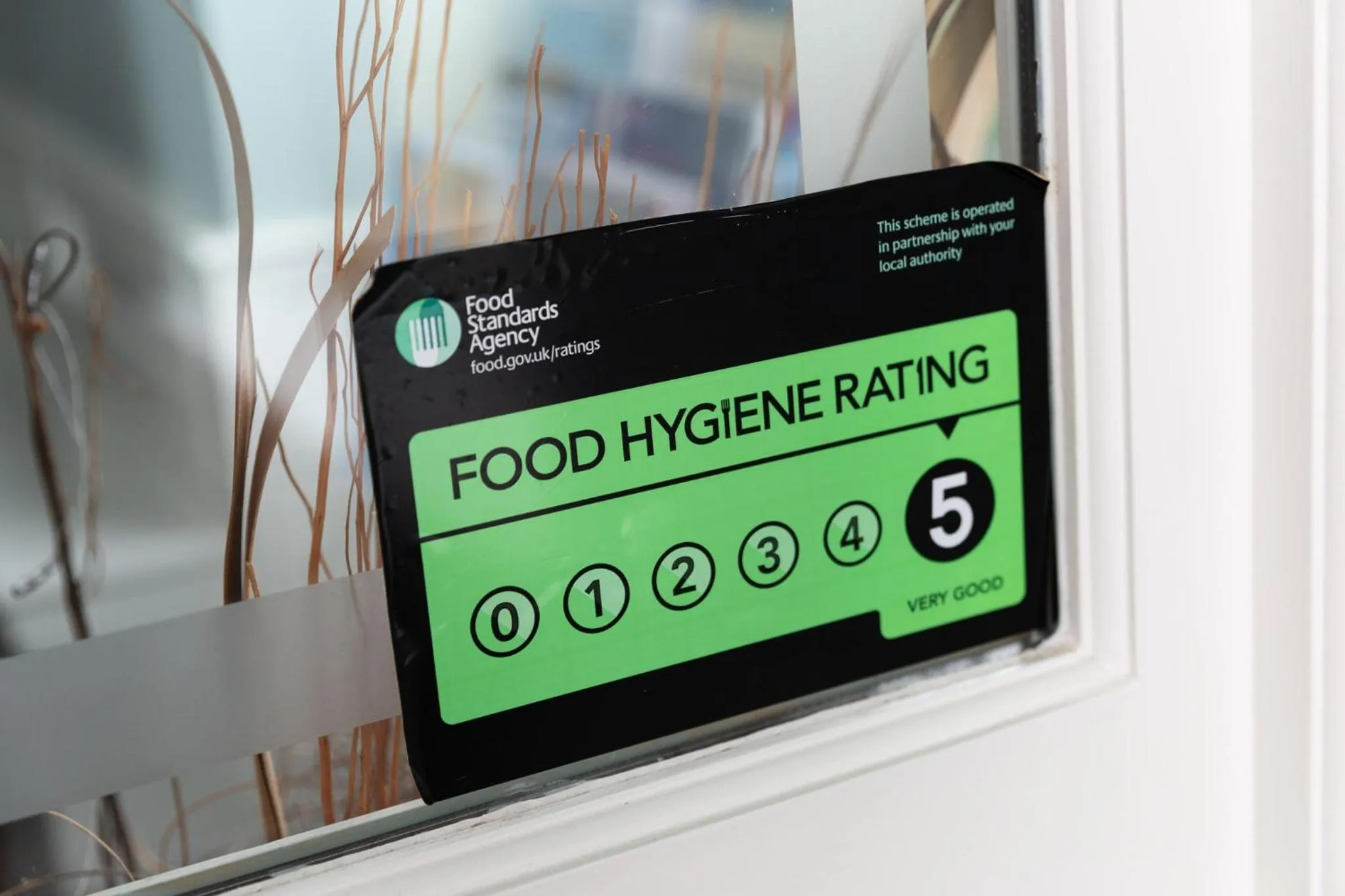 Lobby or reception in Shelleven Guest House