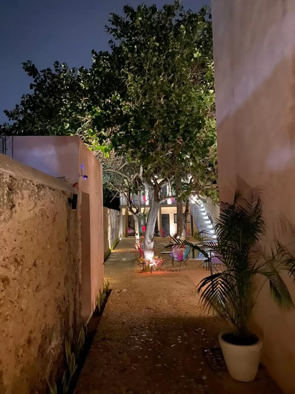 Garden view in Hotelito YUM KAAX