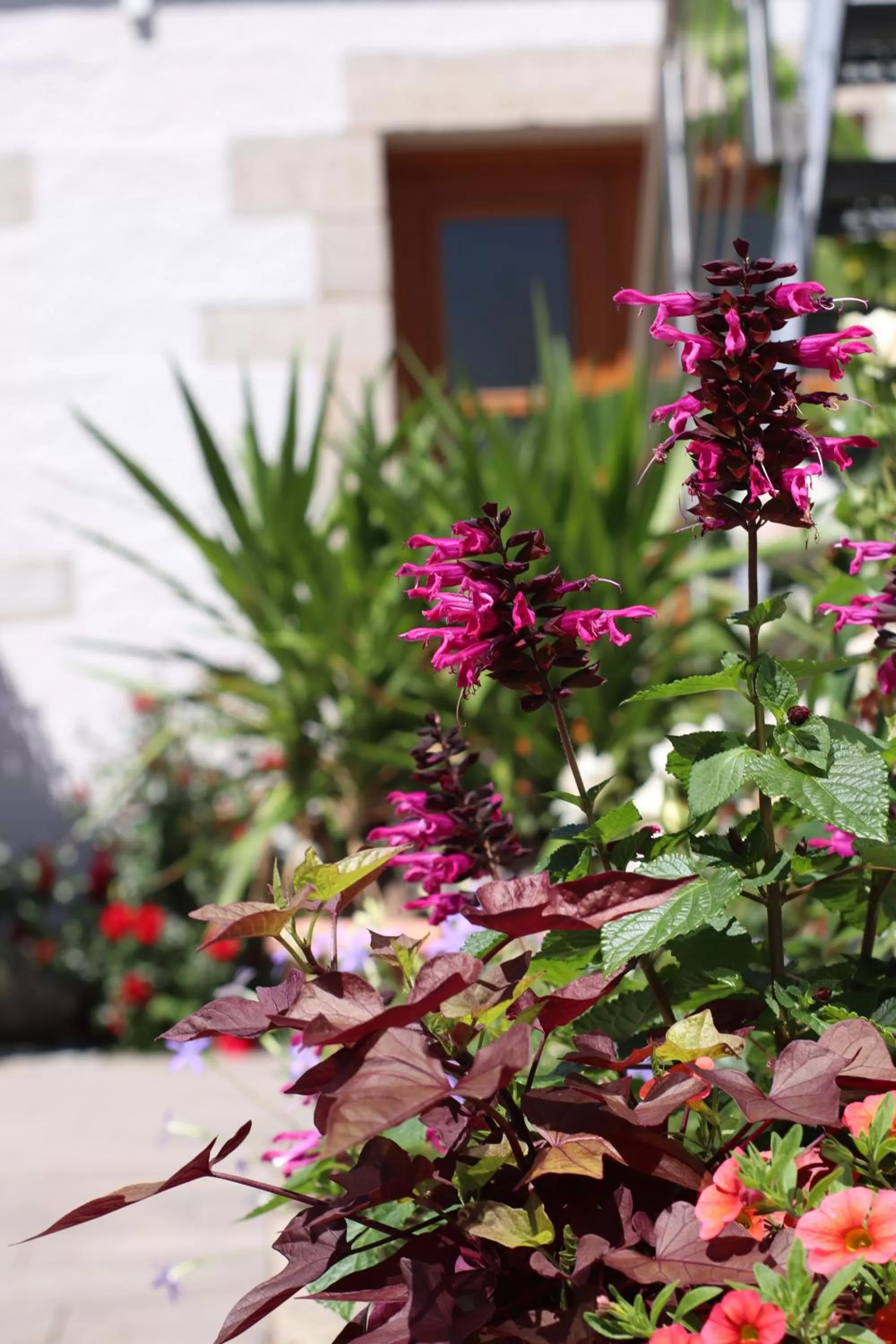 Garden in Restaurant & Hotel Einhorn