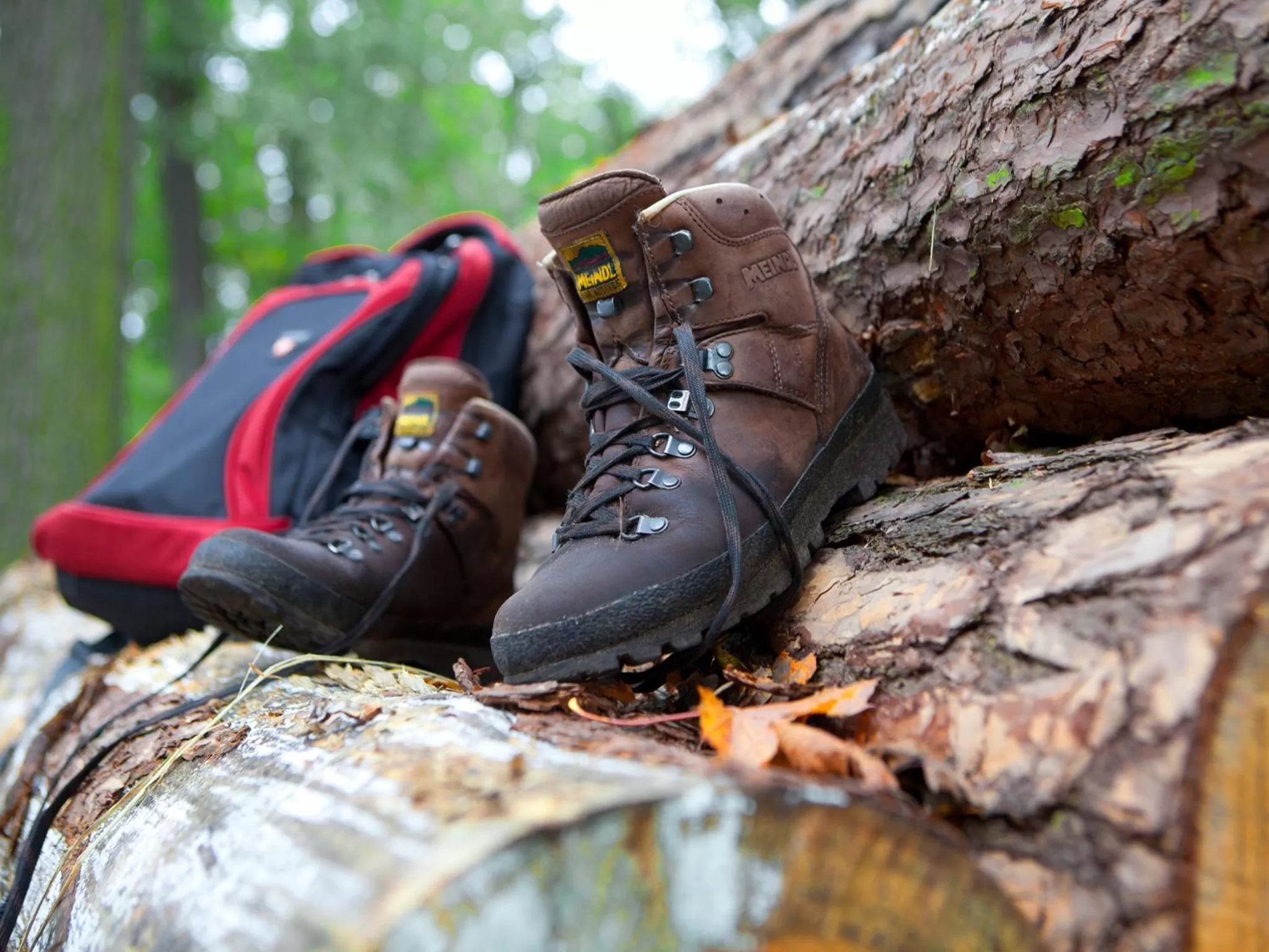 Hiking in ACHAT Hotel Schwarzheide Lausitz