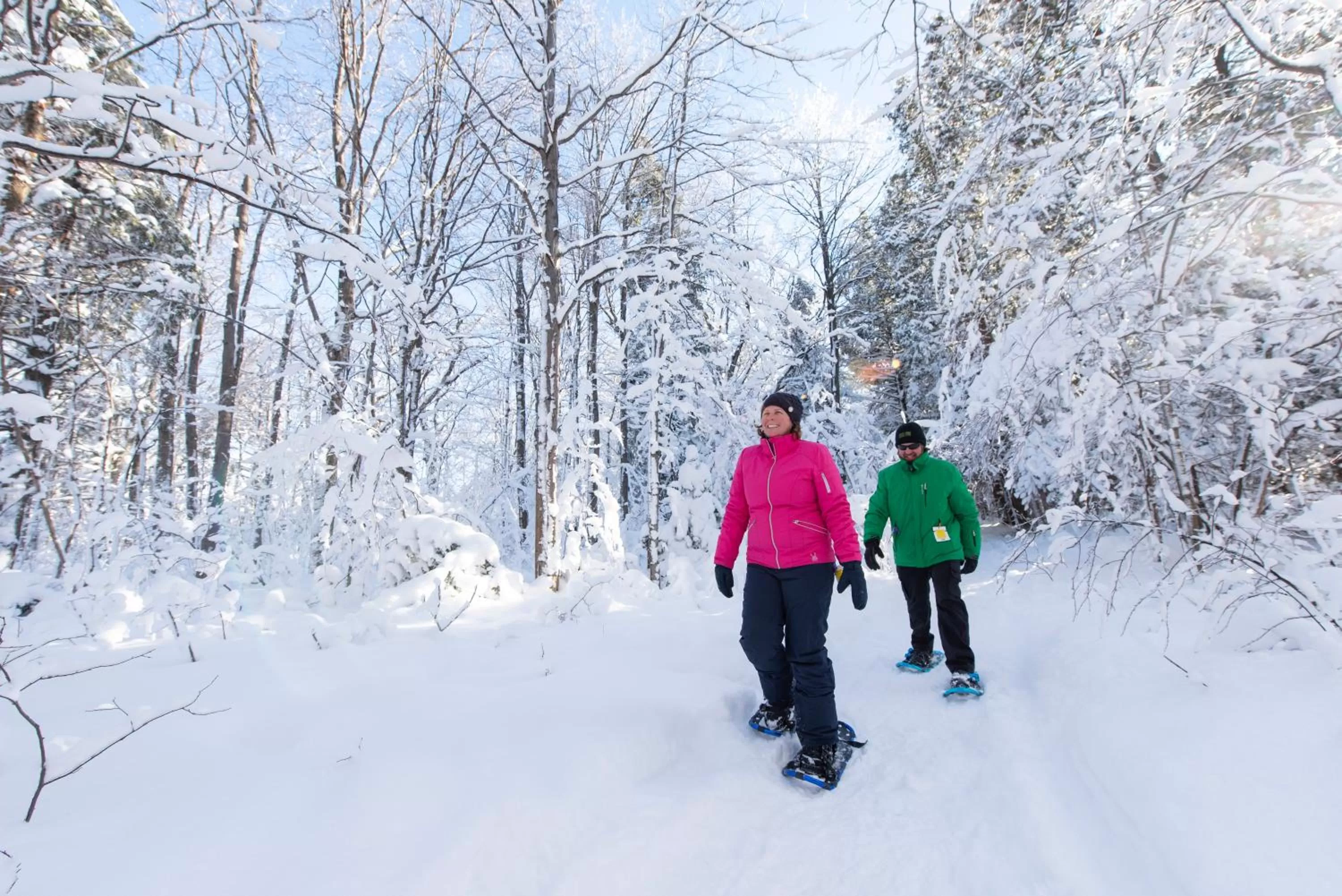 Winter in Blue Mountain Resort Inn
