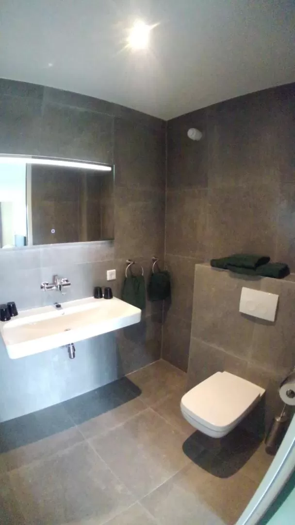 Toilet, Bathroom in B&B In de Wei