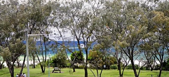Natural landscape in Main Beach Apartments