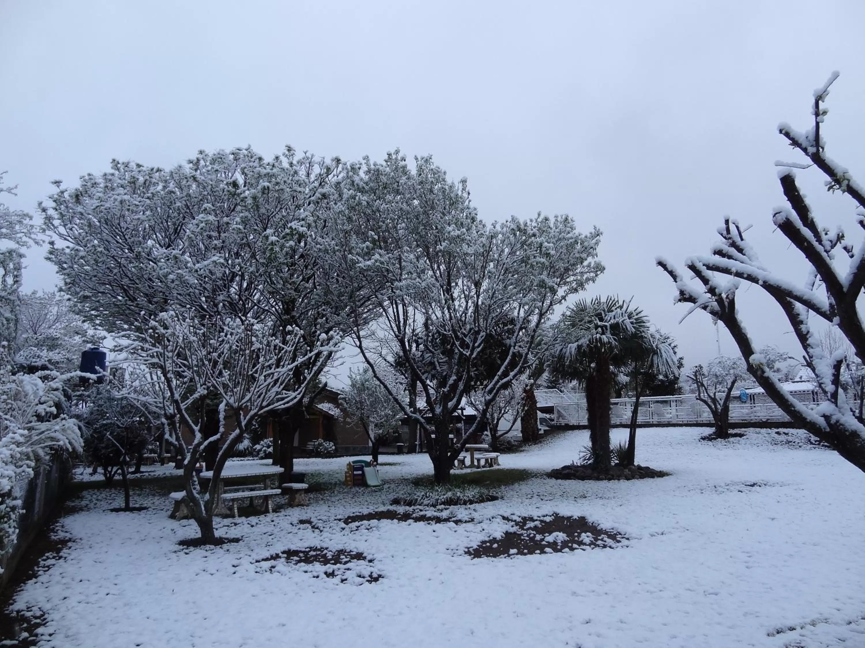 Garden in Hostería Lida