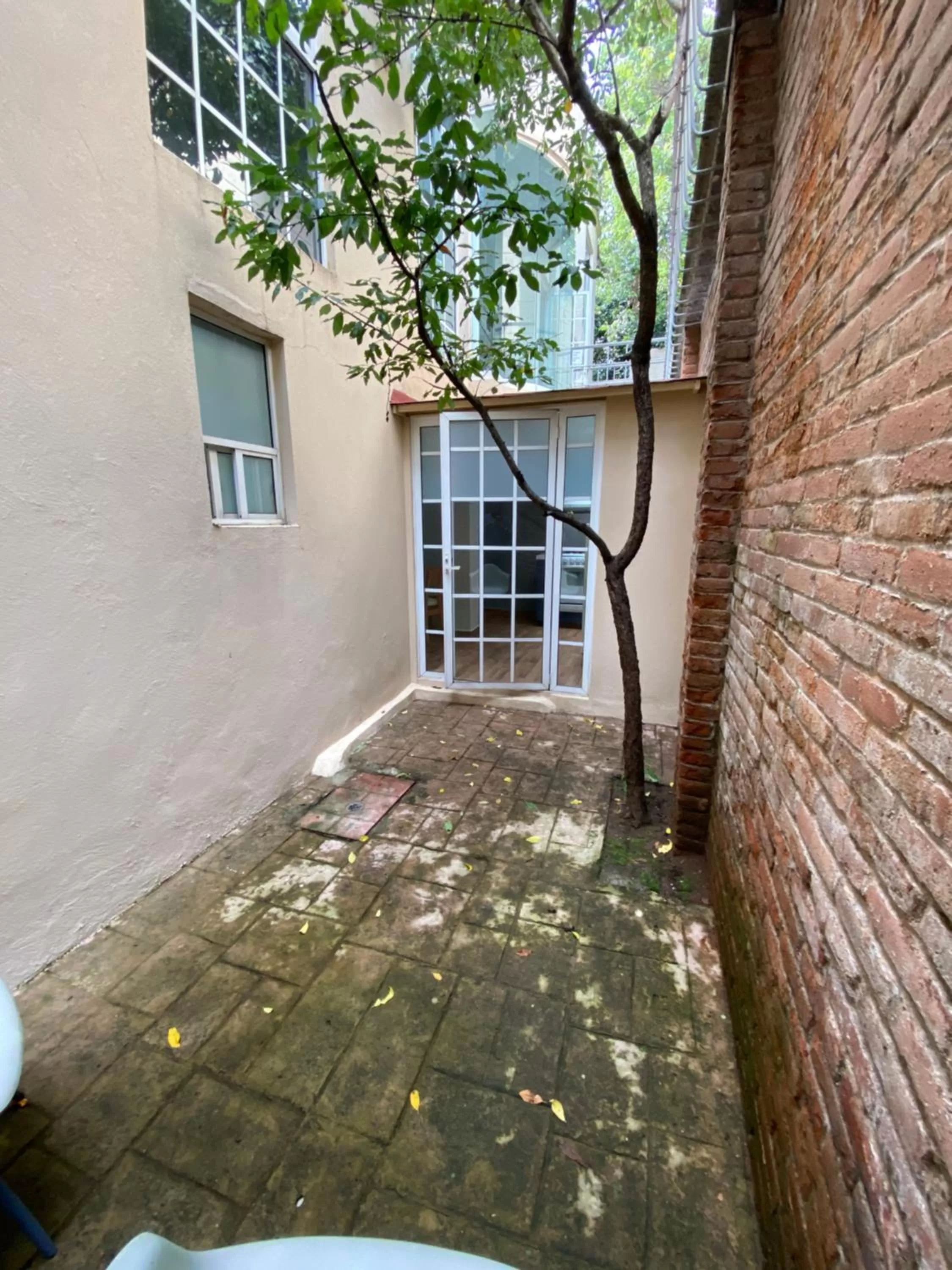 Patio in Grupo Kings Suites - Bosques de Duraznos 78