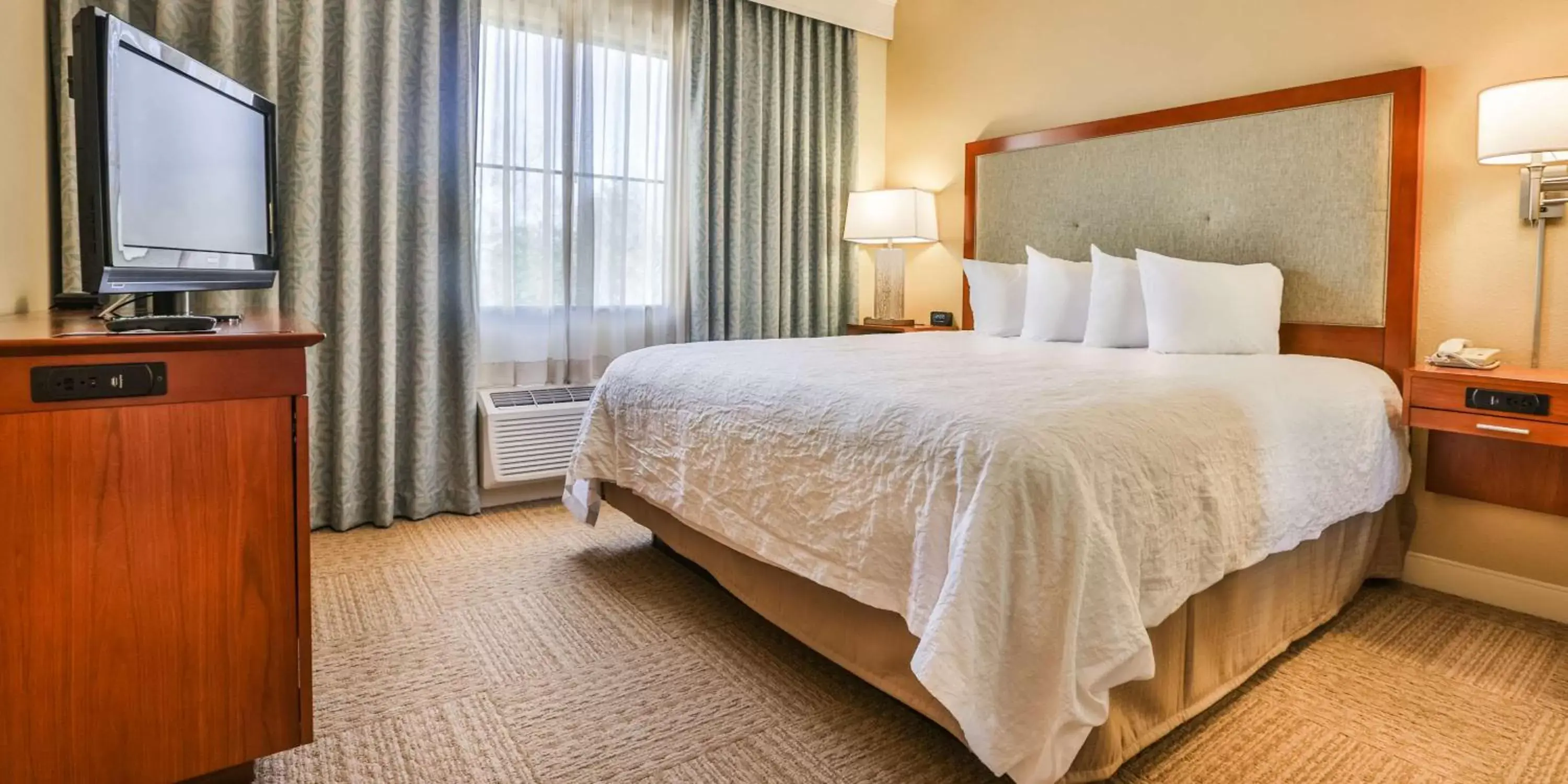 One-Bedroom King Suite with Sofa Bed in Hampton Inn Charleston-Daniel Island One-Bedroom King Suite with Sofa Bed in Hampton Inn Charleston-Daniel Island