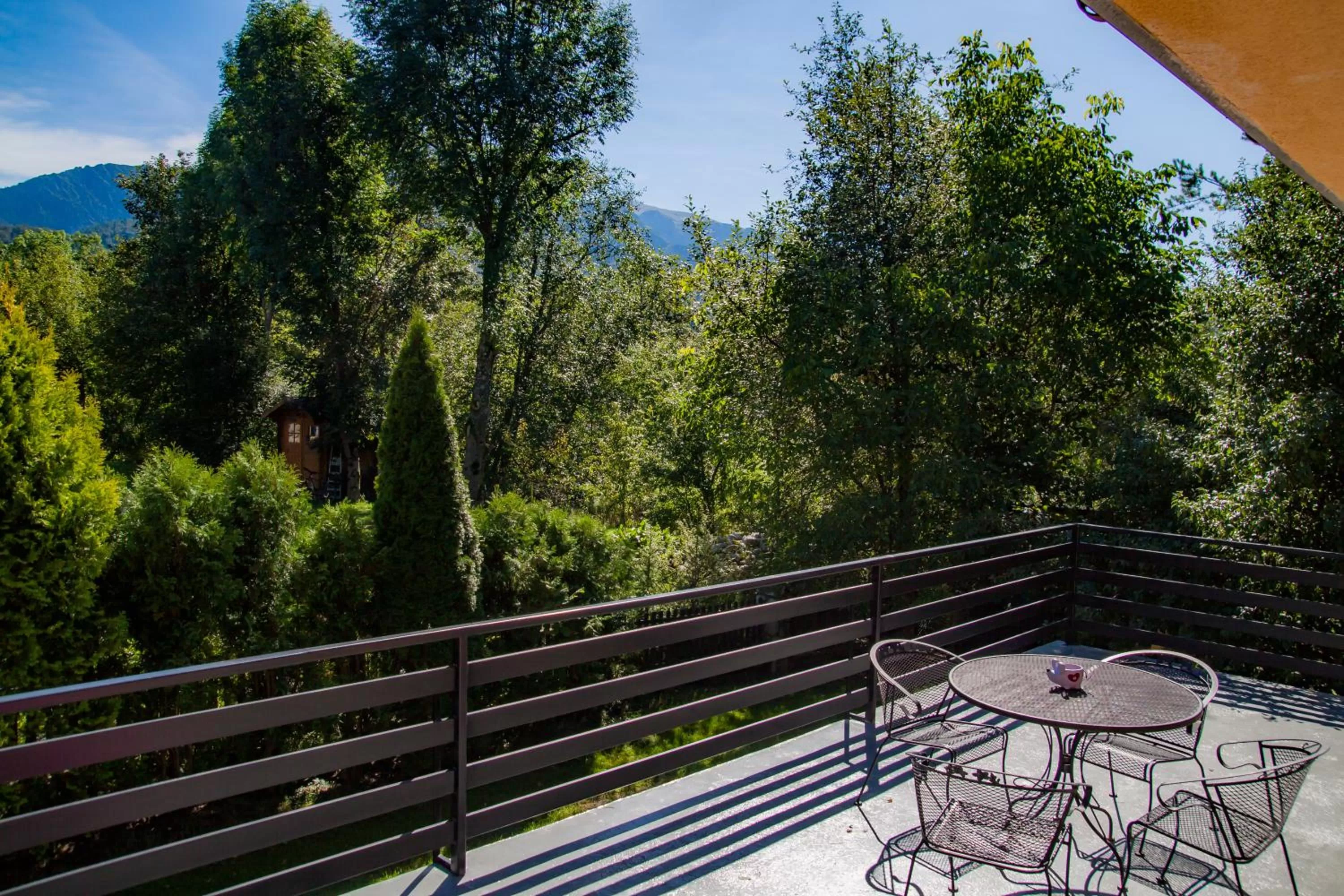 Balcony/Terrace in POKOJE GOŚCINNE WILCZNIK 12