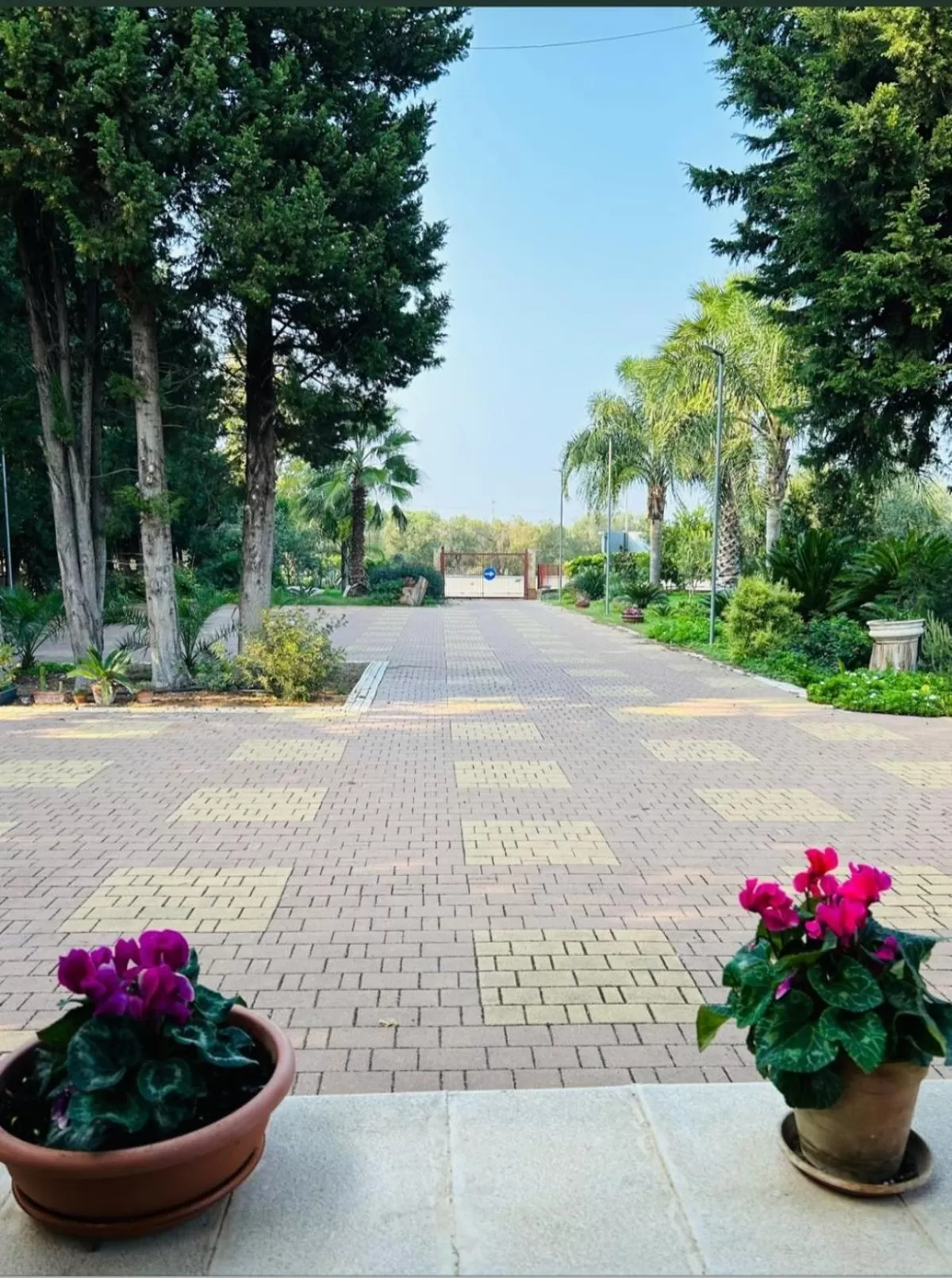 Day in B&B Verdeoliva