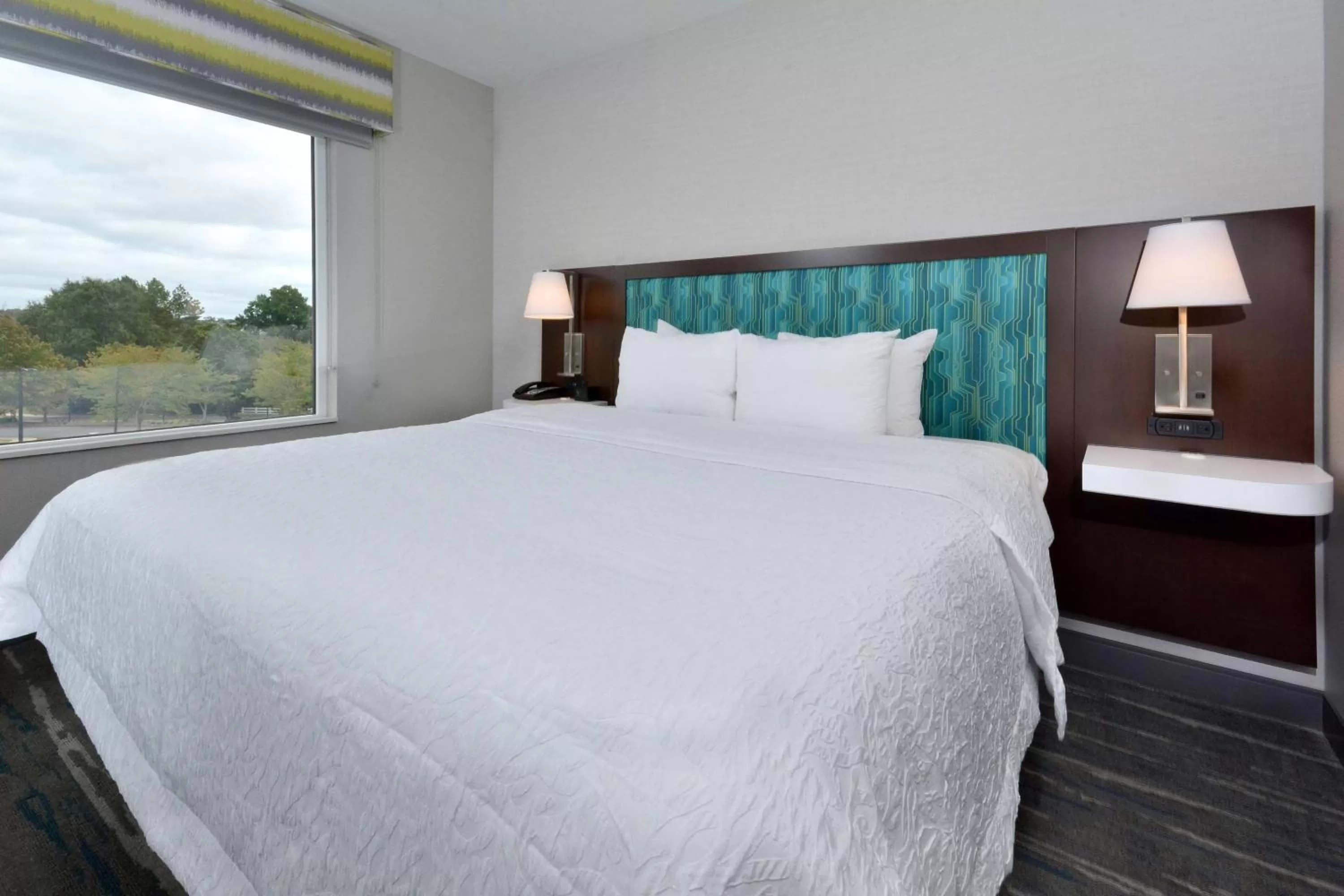 View (from property/room), Bed in Hampton Inn & Suites Charlotte North I 485