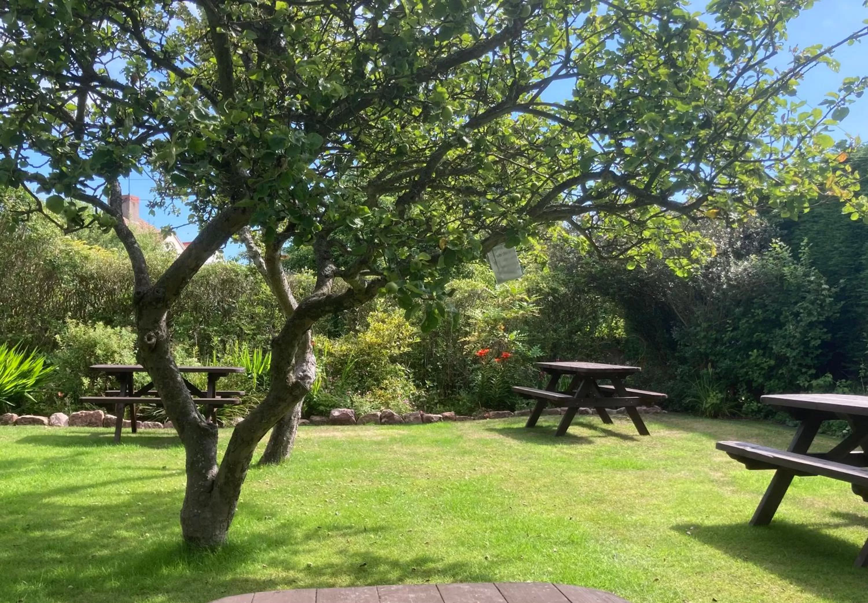 Garden in The Watchman Hotel