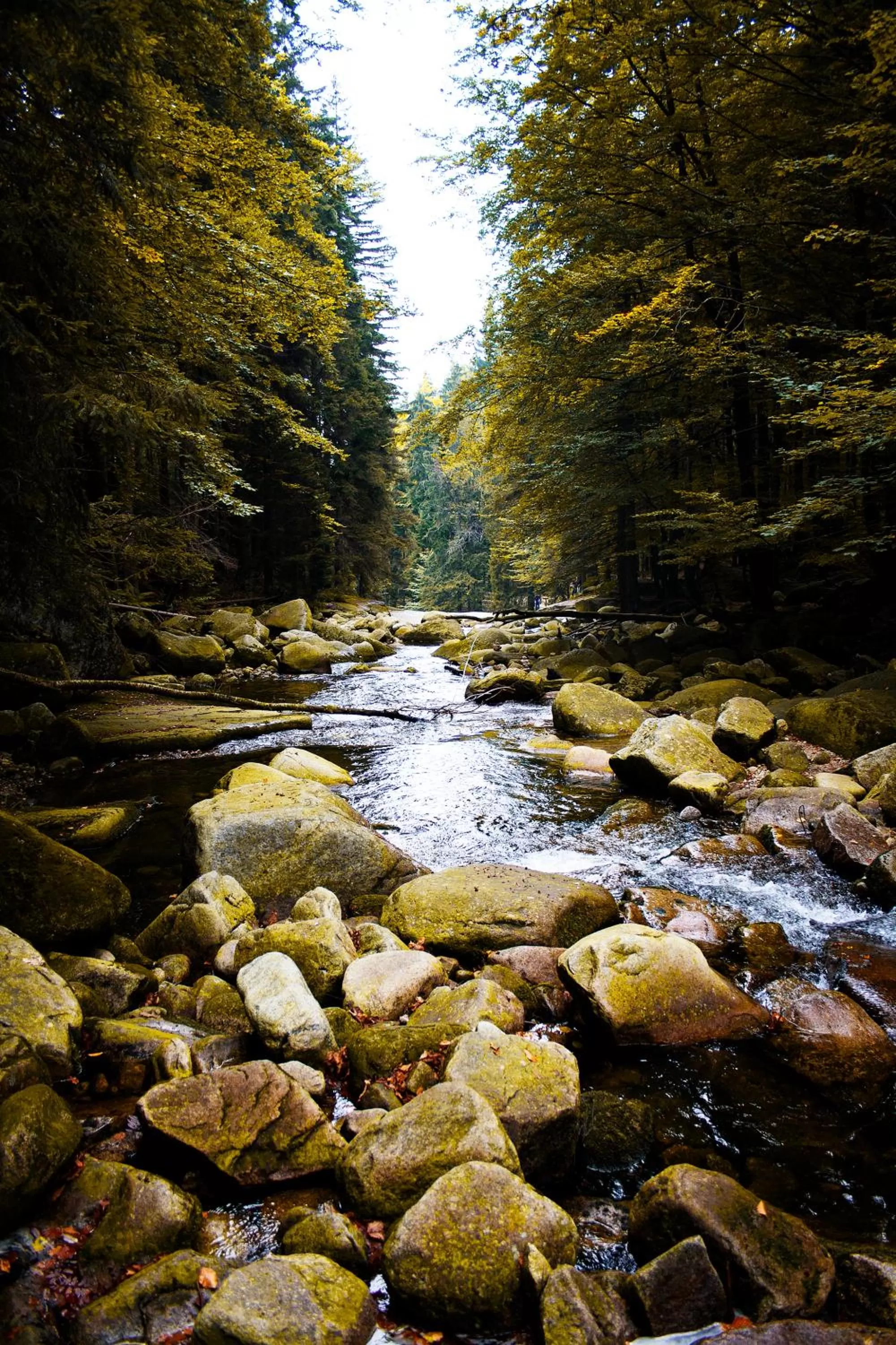 Neighbourhood in Hotel U Krále