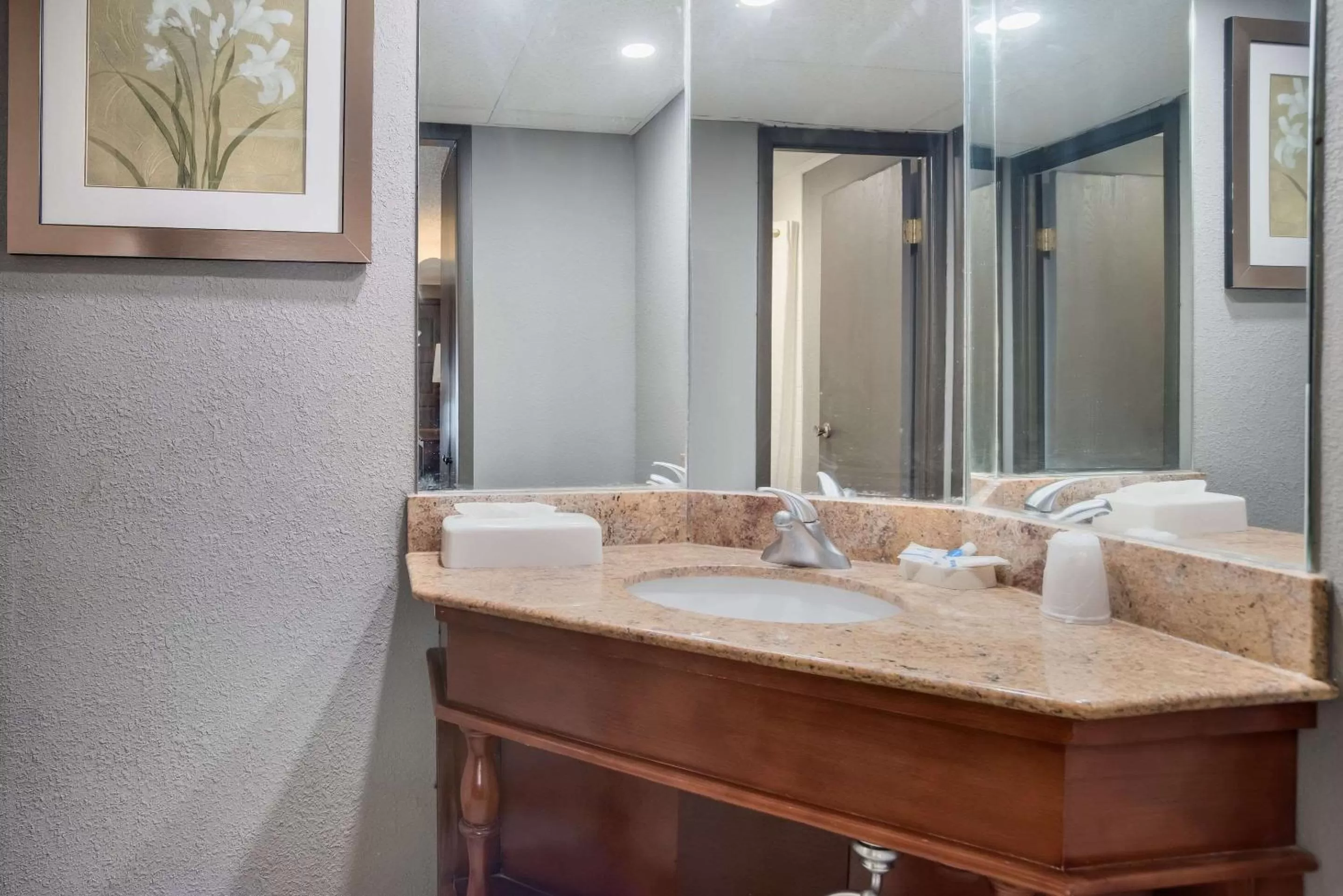 Bathroom in Rodeway Inn Carlisle North