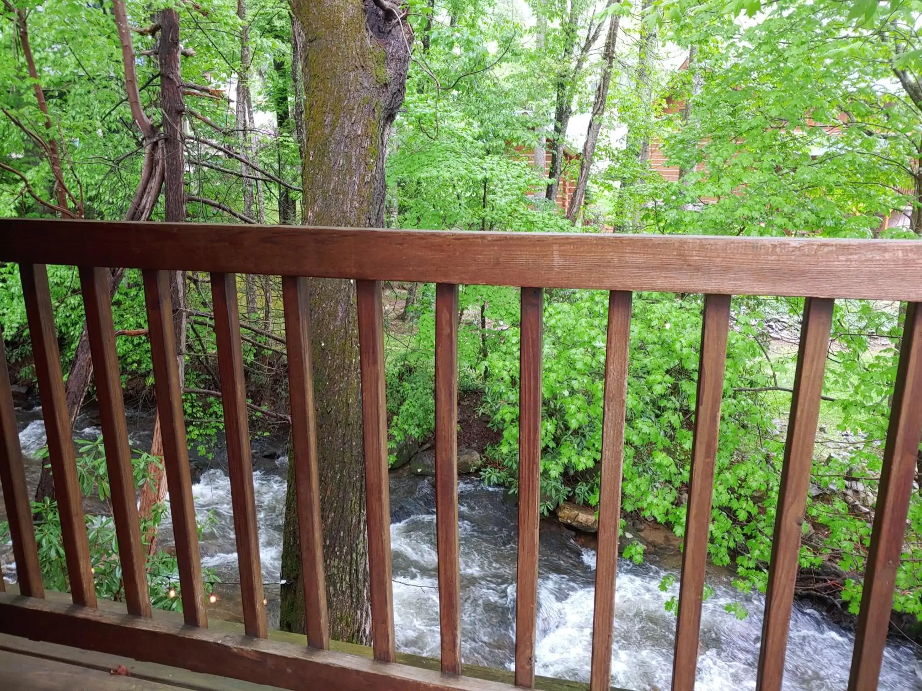 King Room in Stony Creek Motel King Room in Stony Creek Motel