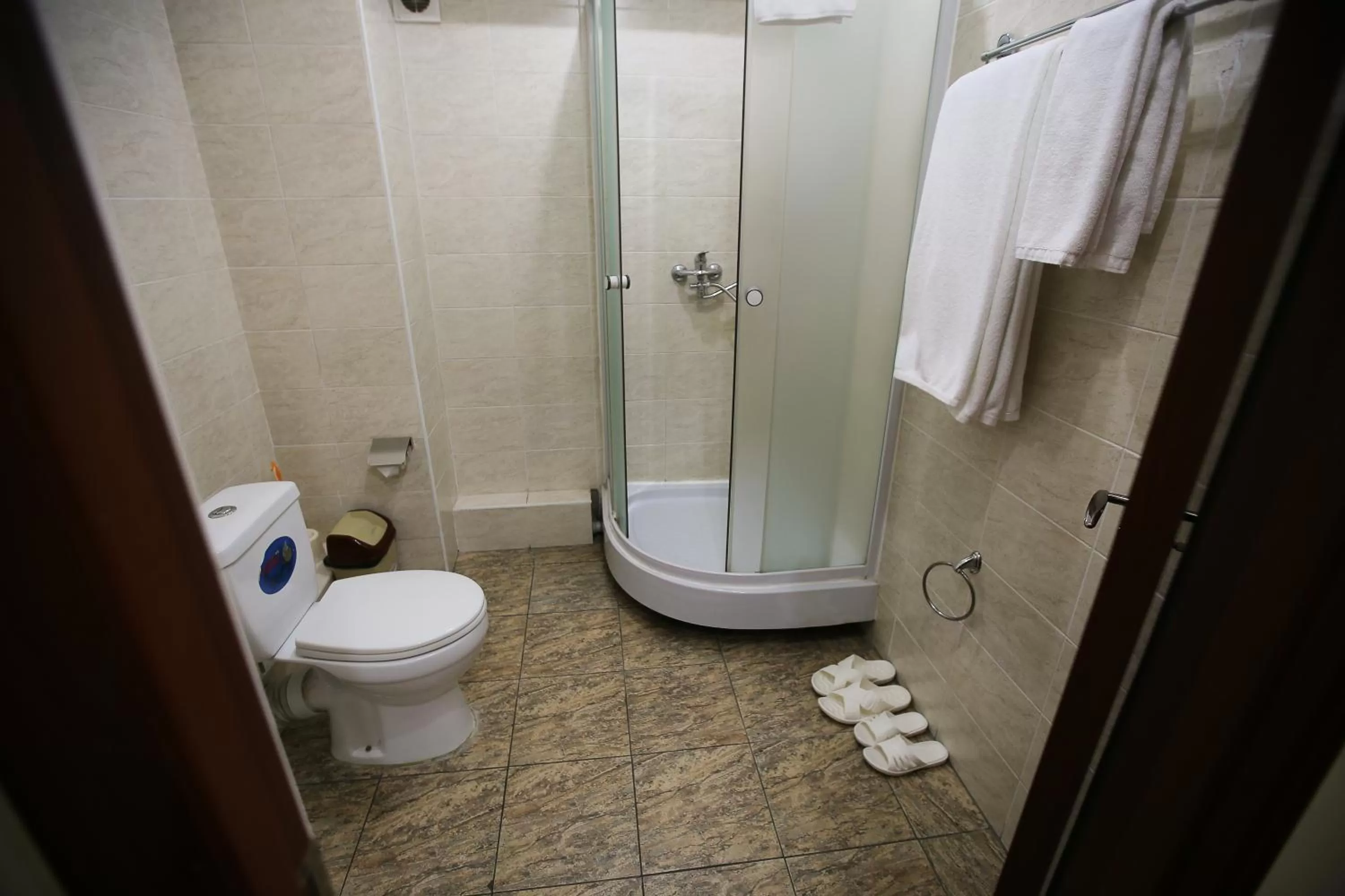 Shower in Altai Business Hotel