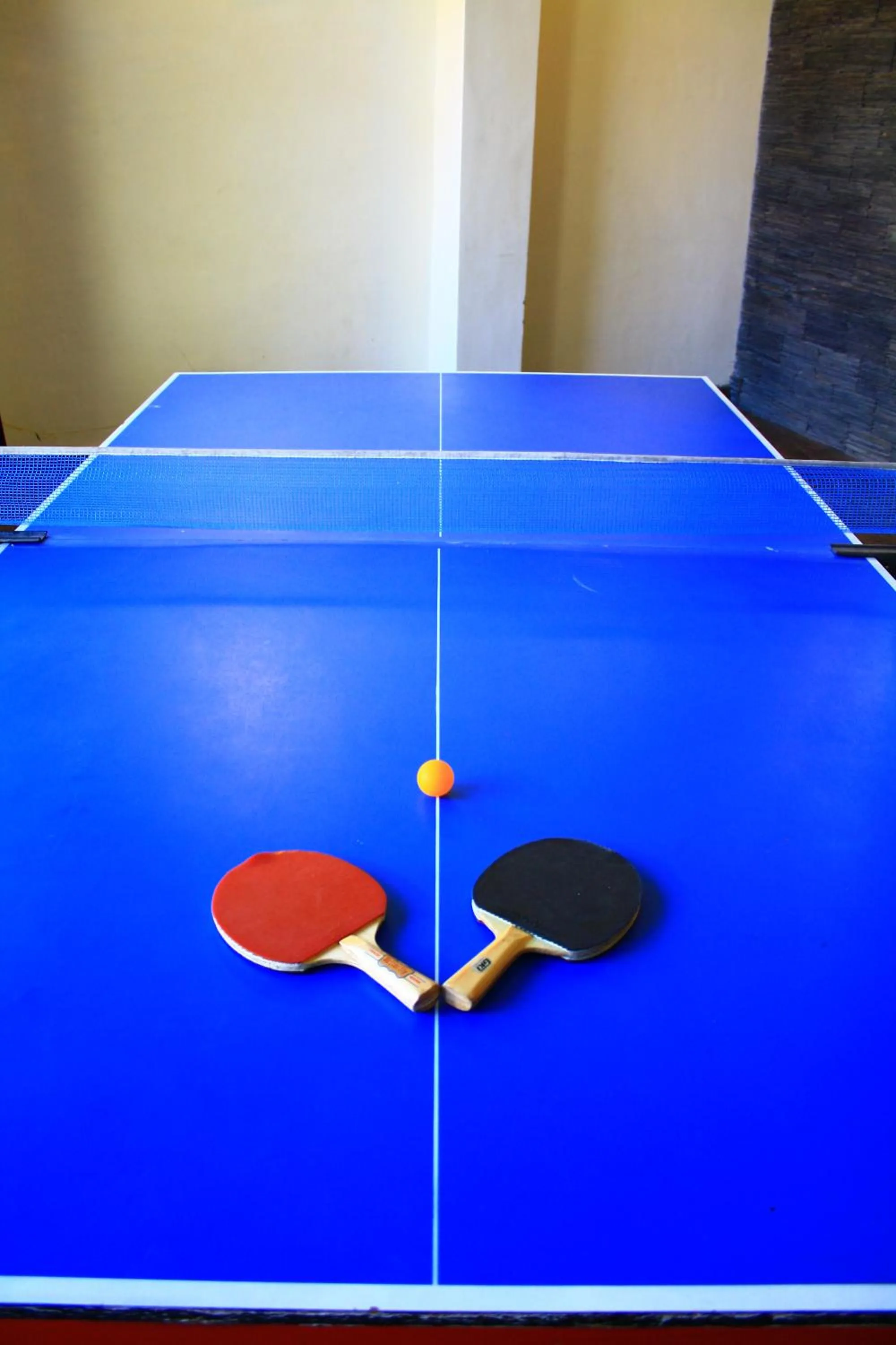 Table tennis in Kasauli Castle Resort