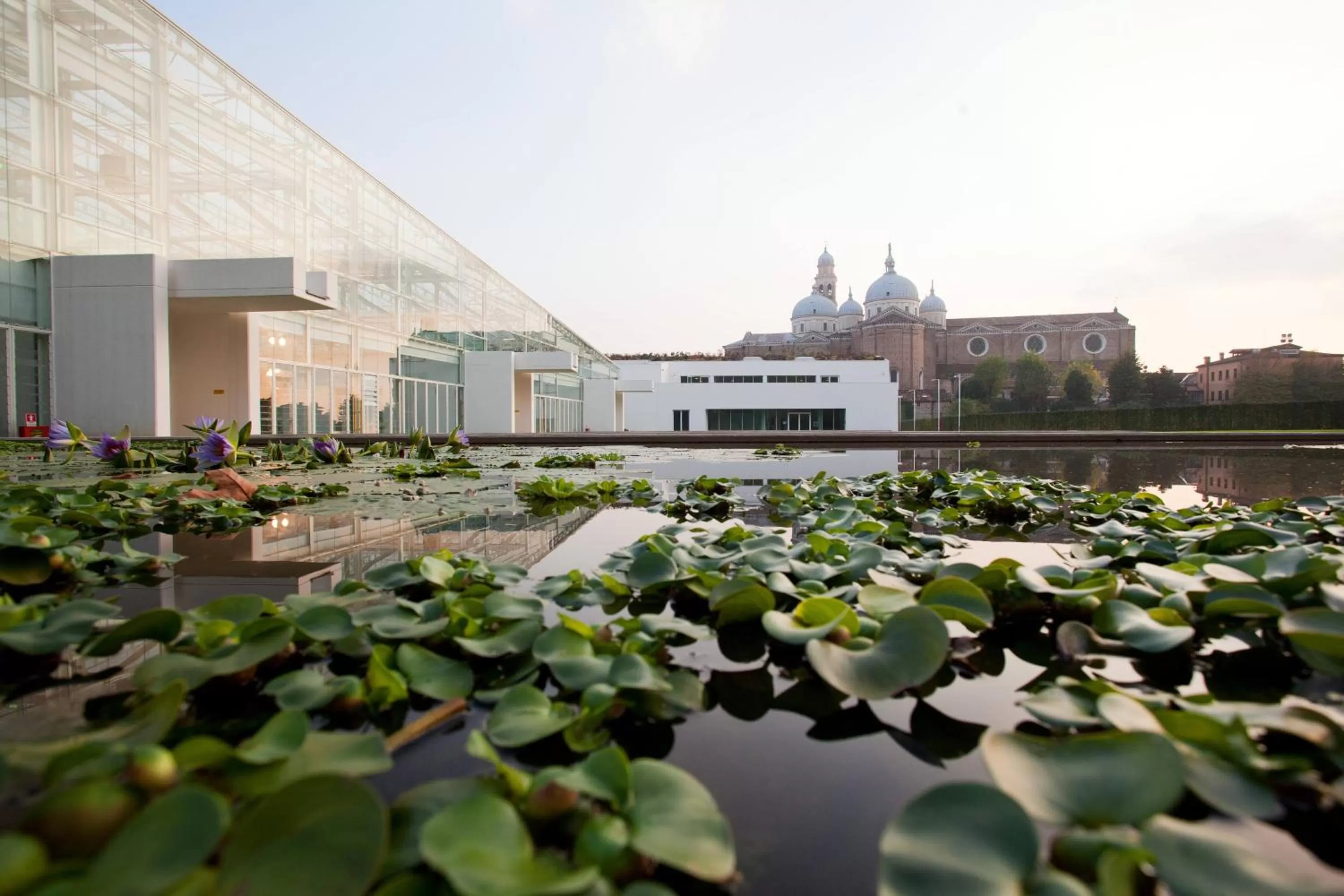 Garden in Isola Memmia